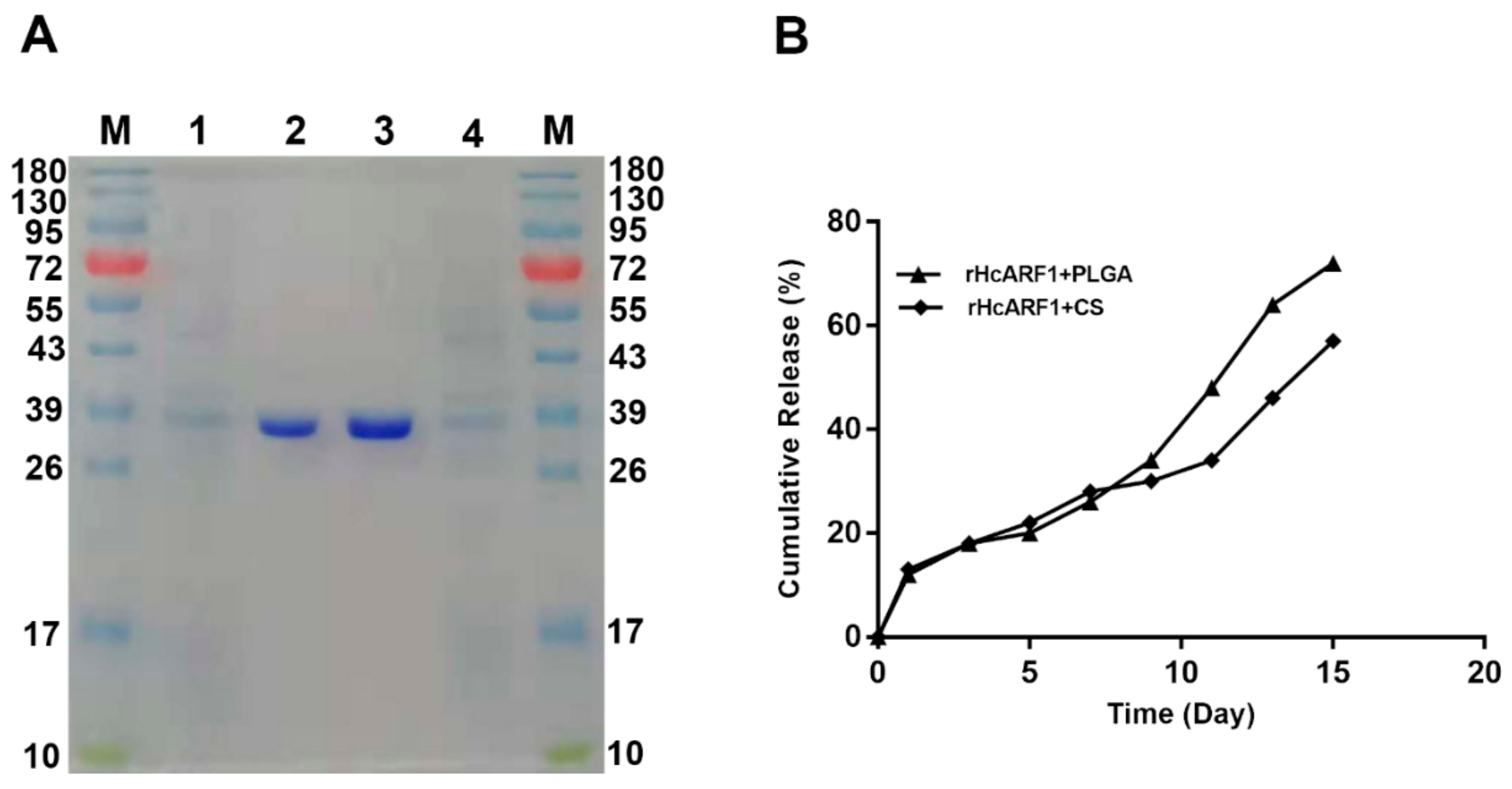 Vaccines 08 00726 g002 Vaccines 08 00726 g002