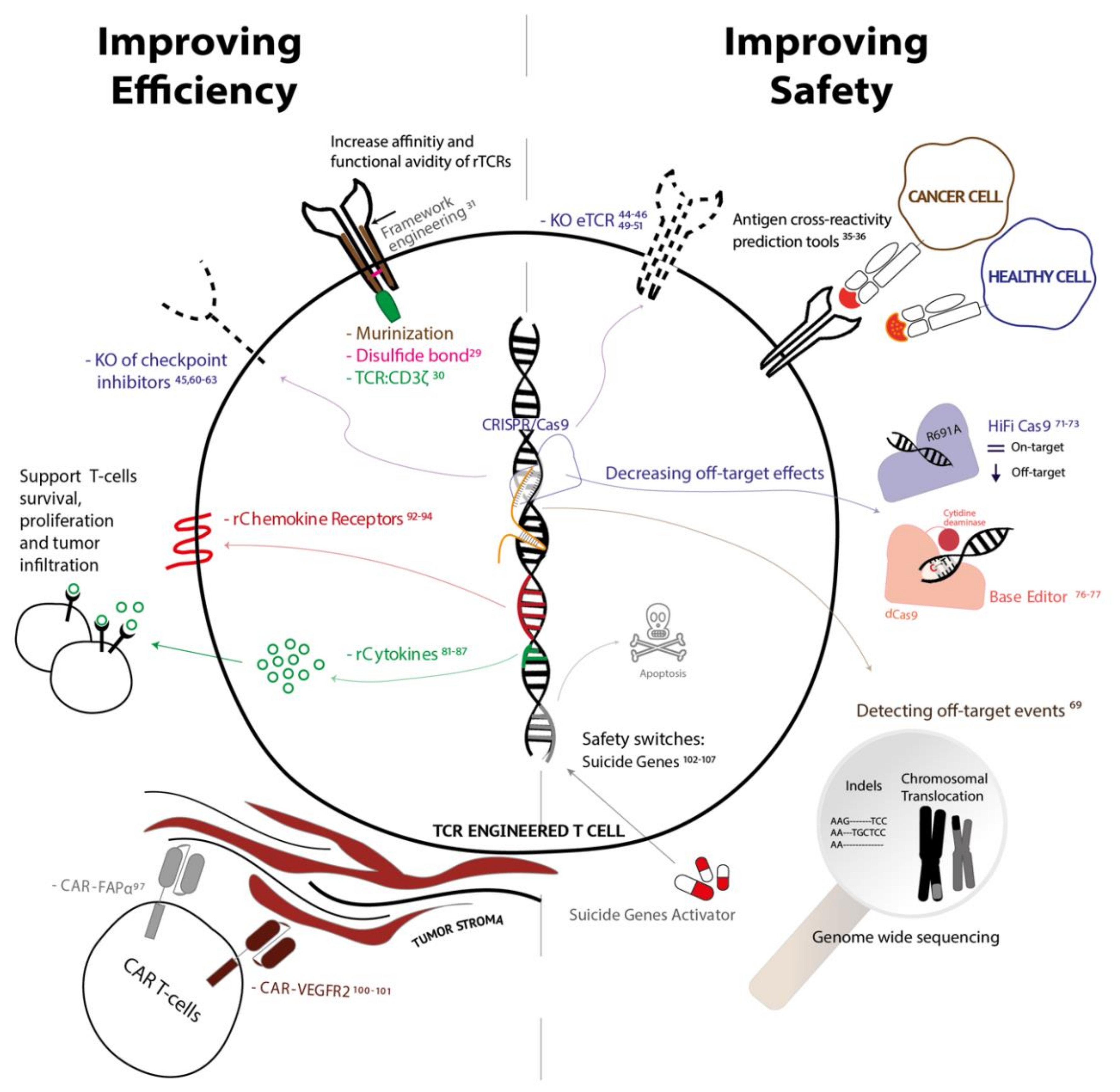 Vaccines 08 00733 g003