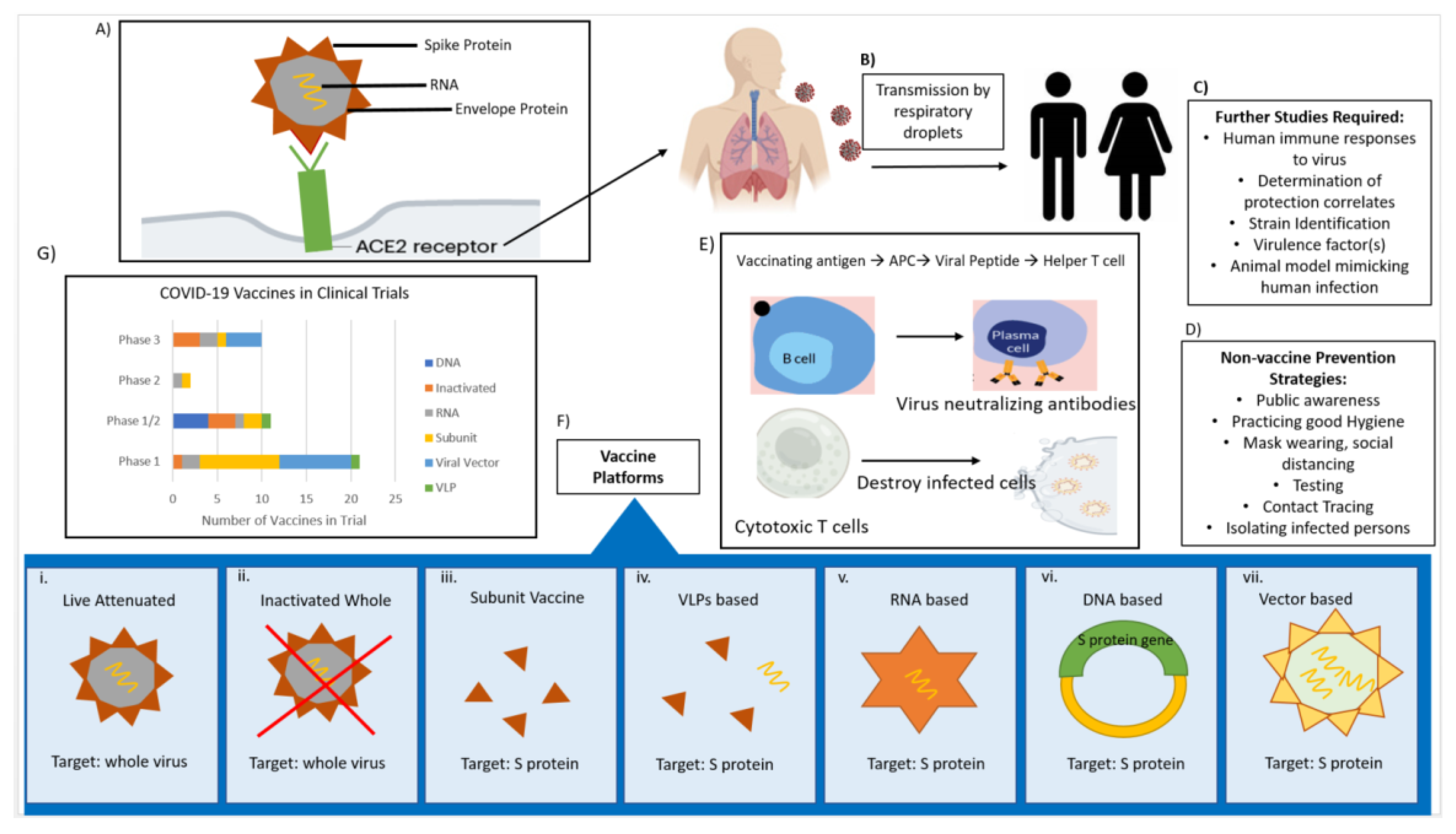 Vaccines | Free Full-Text | Efforts at COVID-19 Vaccine Development:  Challenges and Successes | HTML