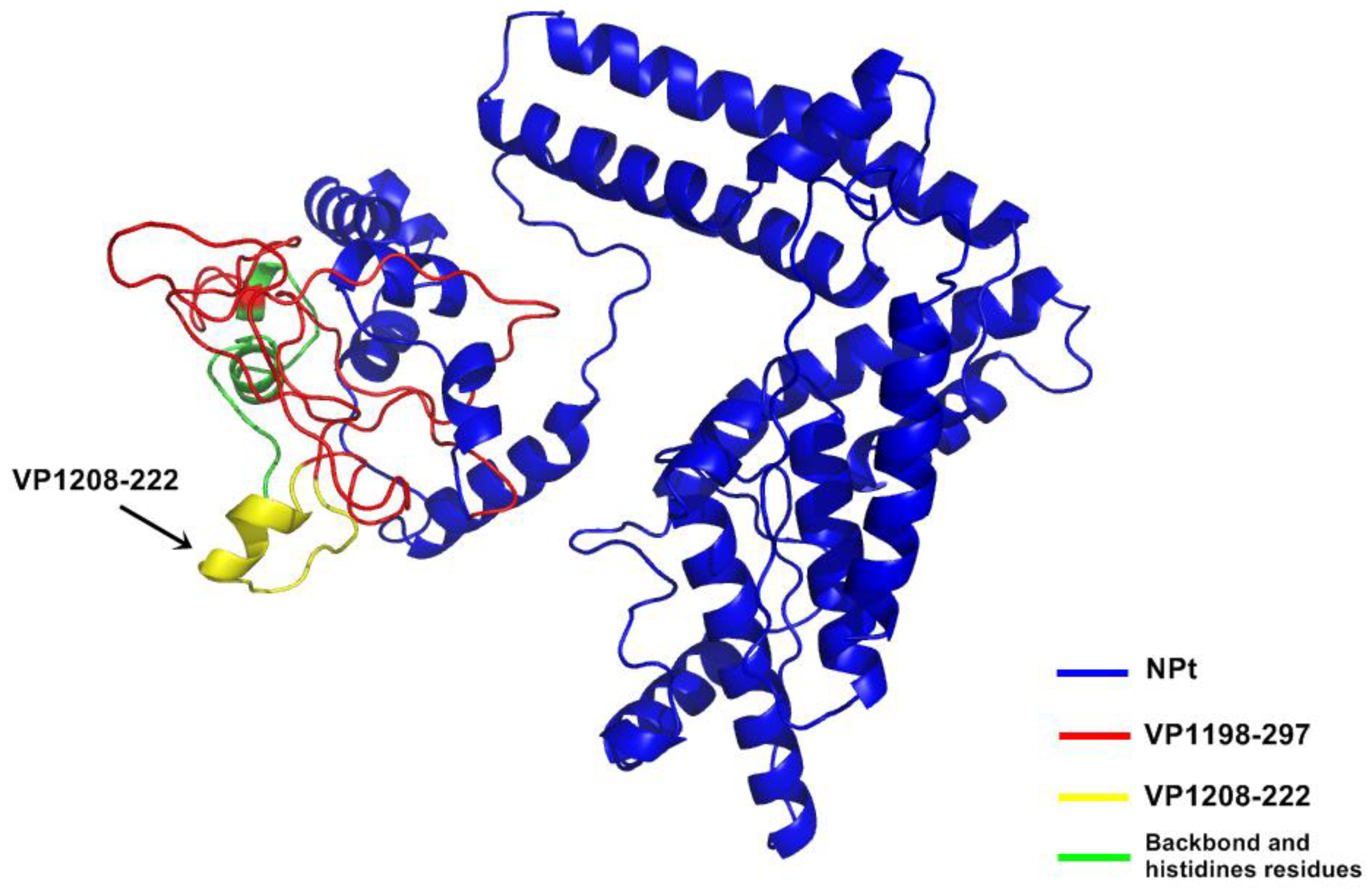Vaccines 08 00742 g002