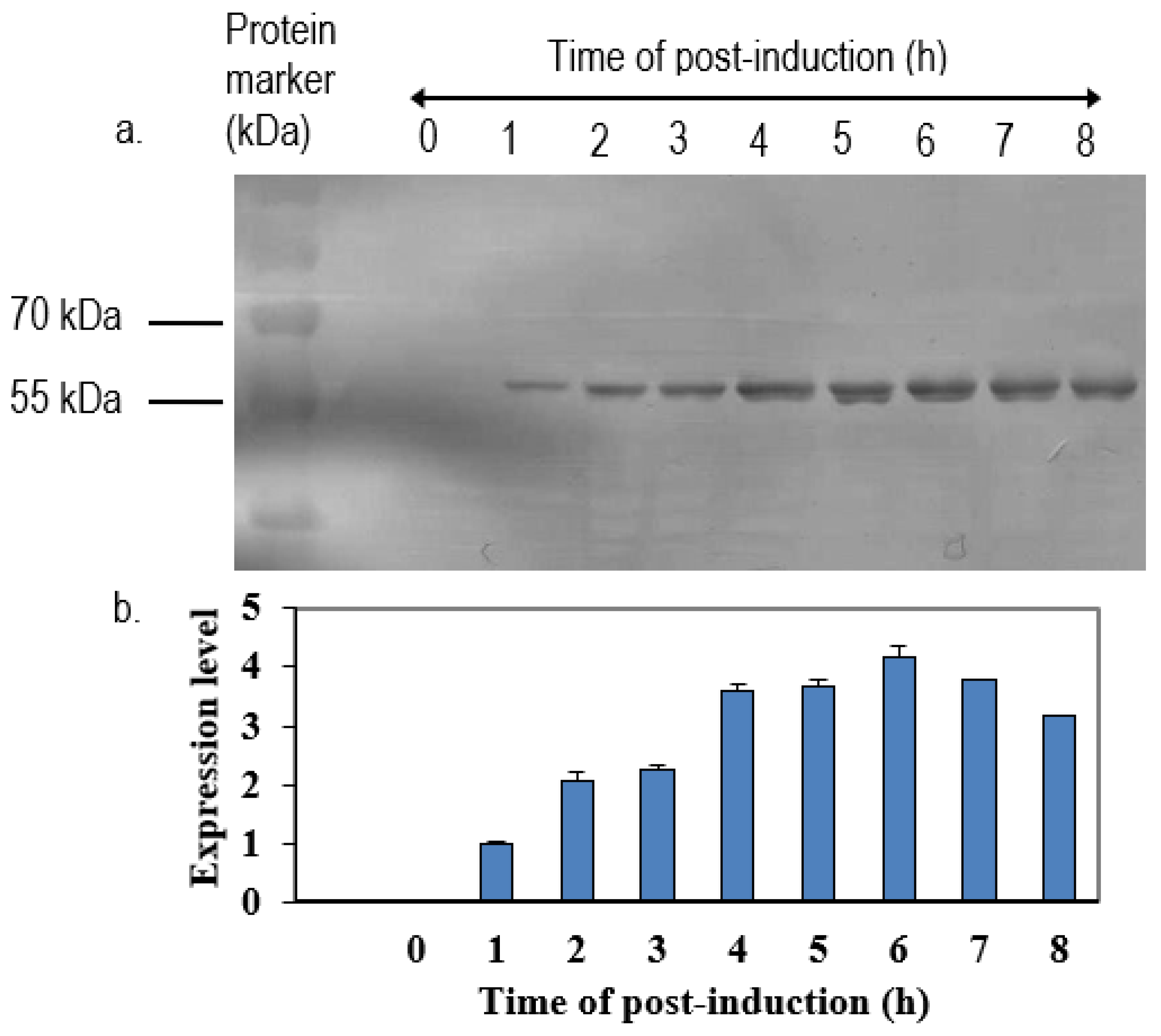 Vaccines 08 00742 g007