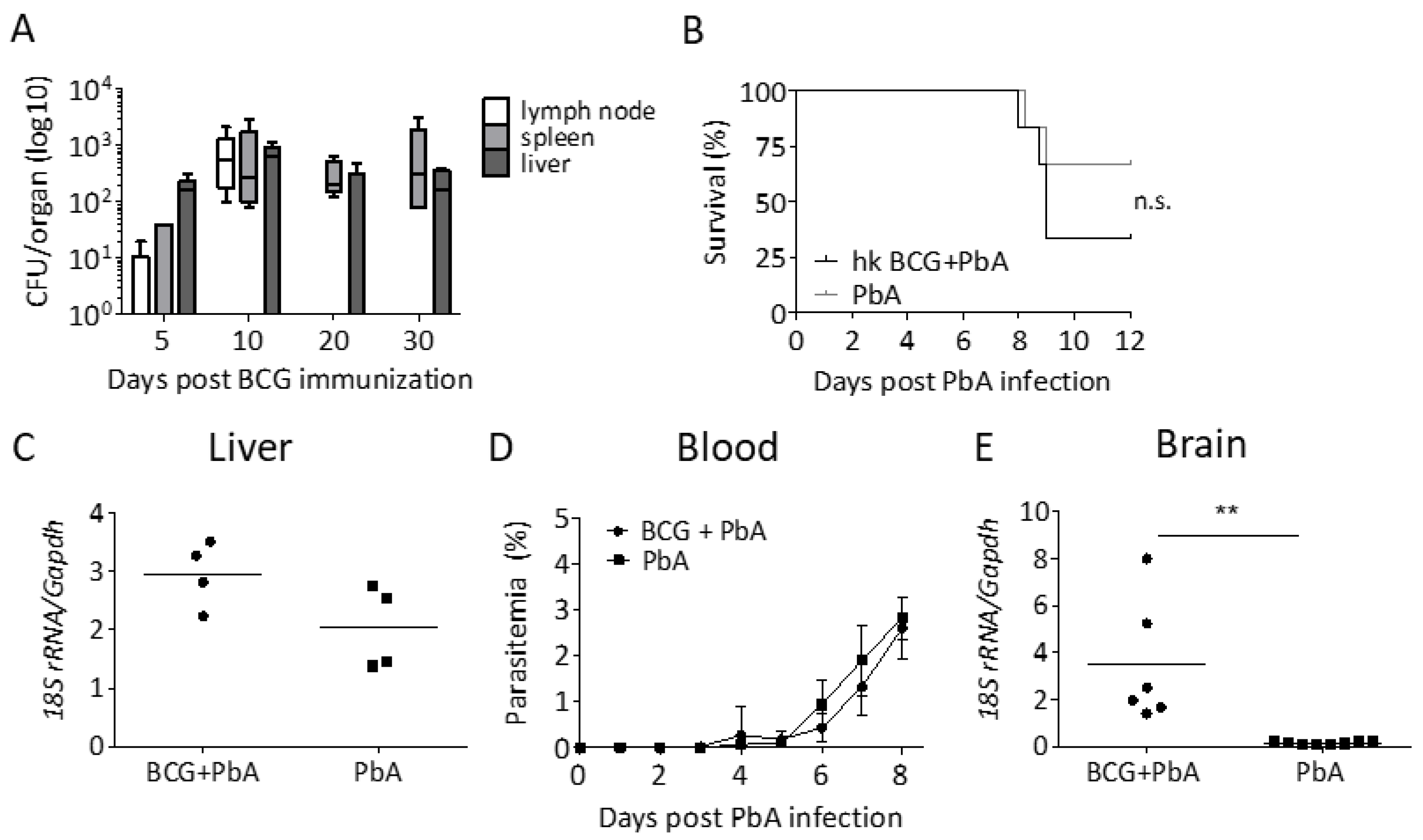 Vaccines 08 00745 g002 Vaccines 08 00745 g002