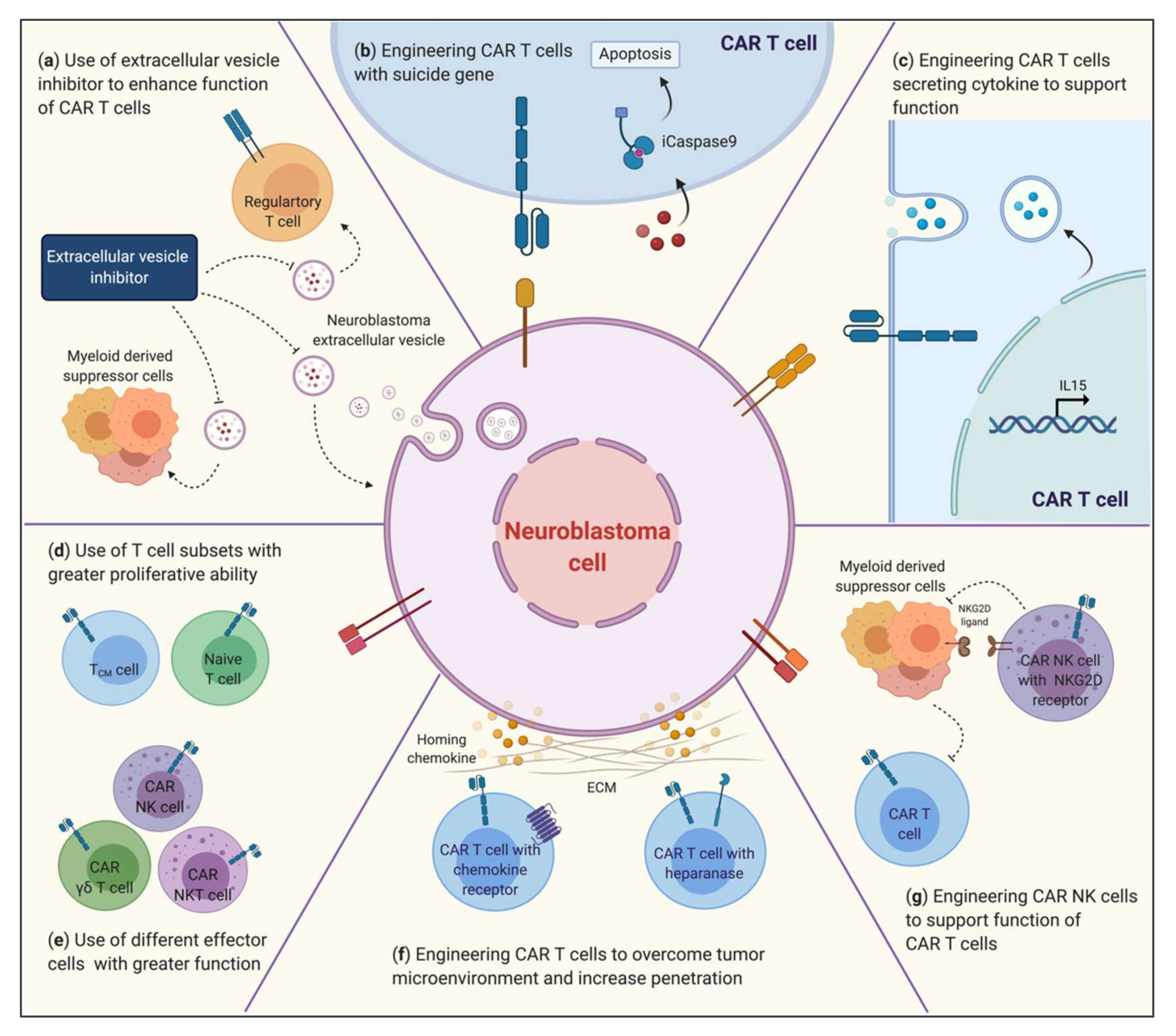 GPC2-CAR T cells tuned for low antigen density mediate potent