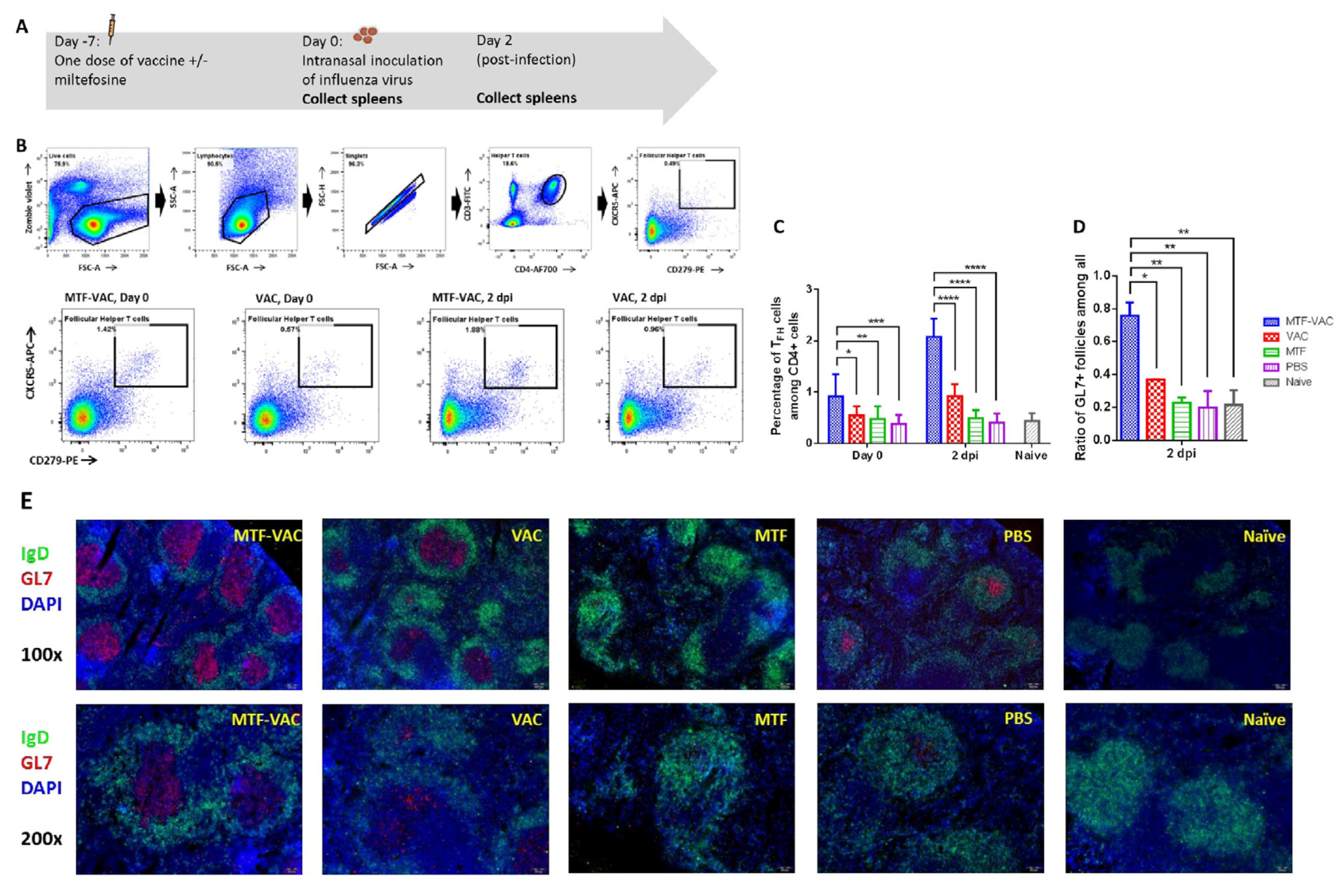 Vaccines 08 00754 g004 Vaccines 08 00754 g004