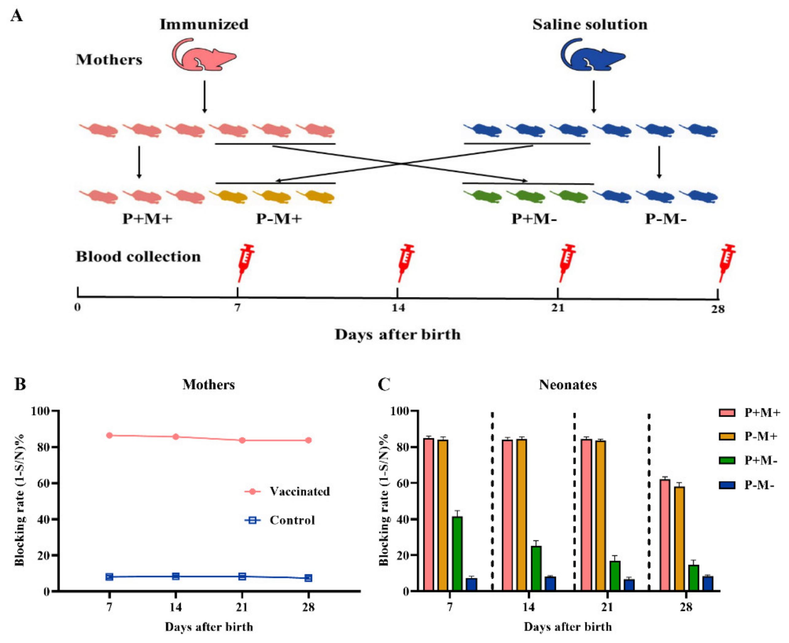 Vaccines 08 00755 g001 Vaccines 08 00755 g001