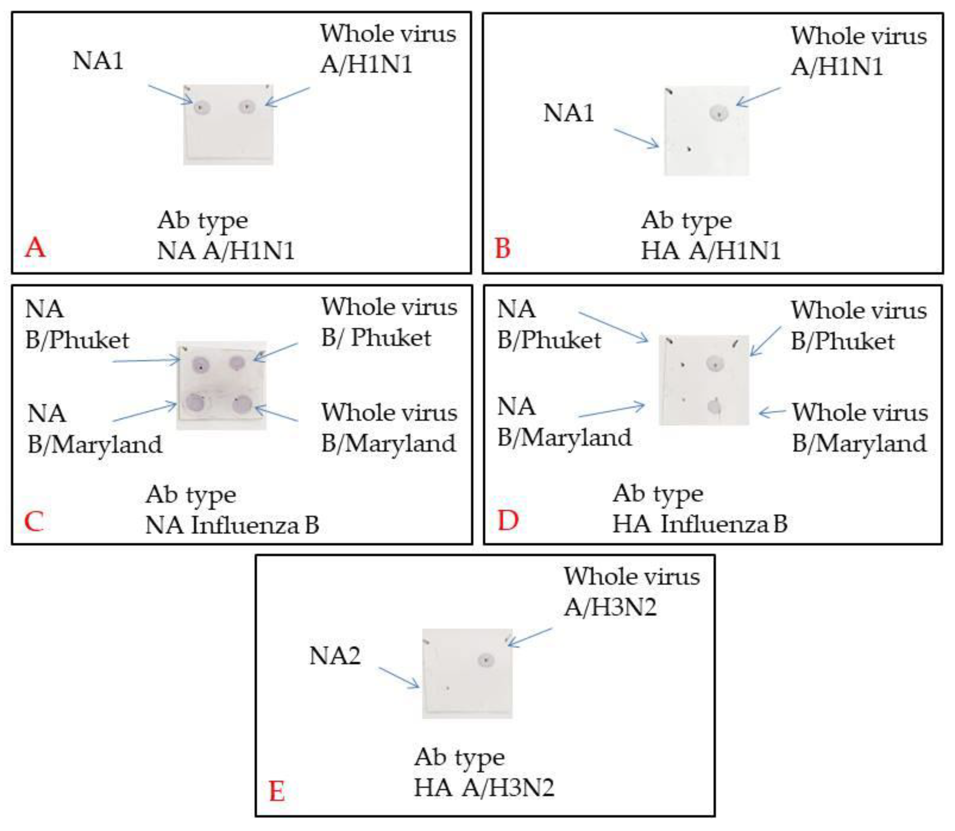 Vaccines 08 00756 g003