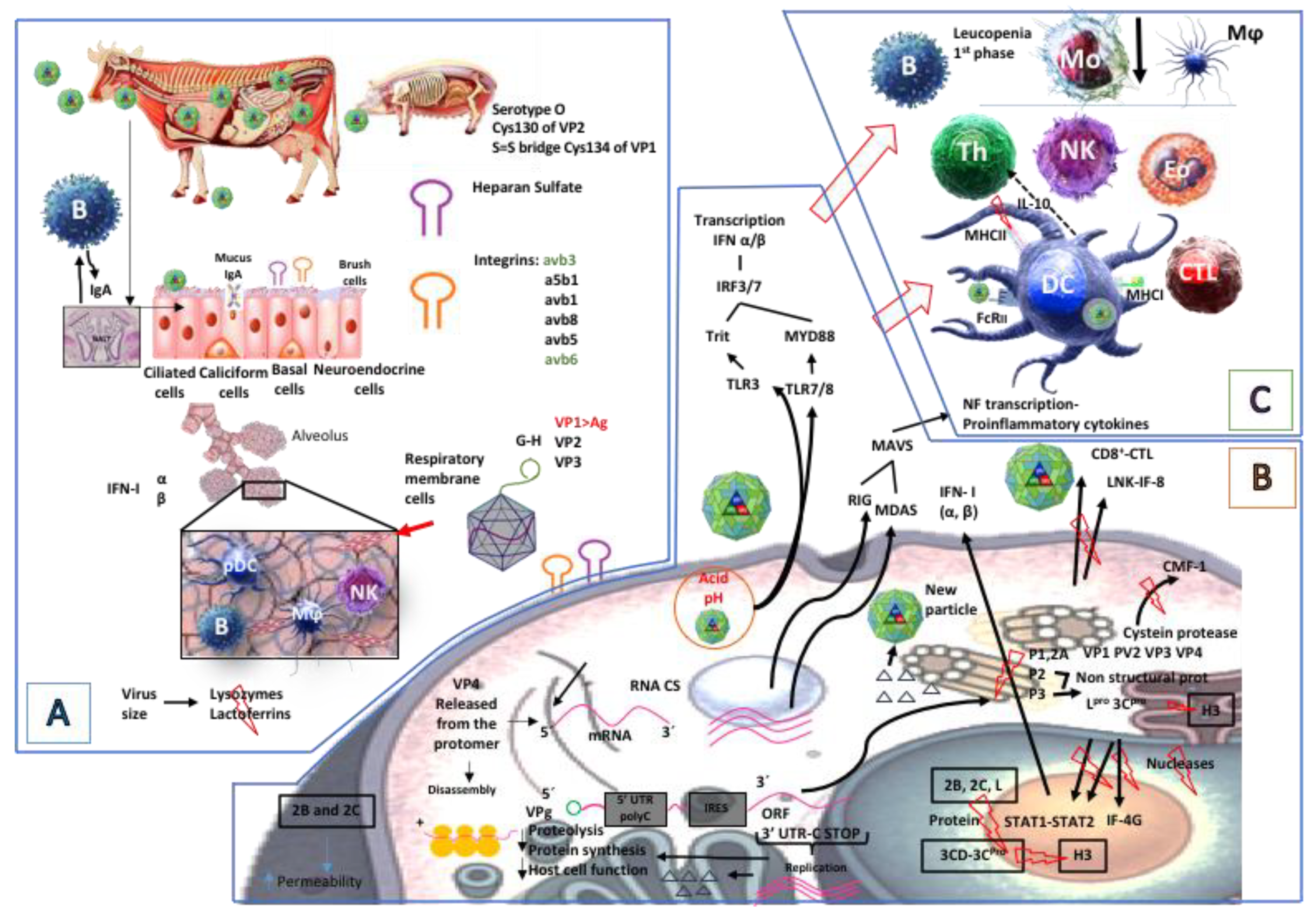 Vaccines 08 00764 g004 Vaccines 08 00764 g004