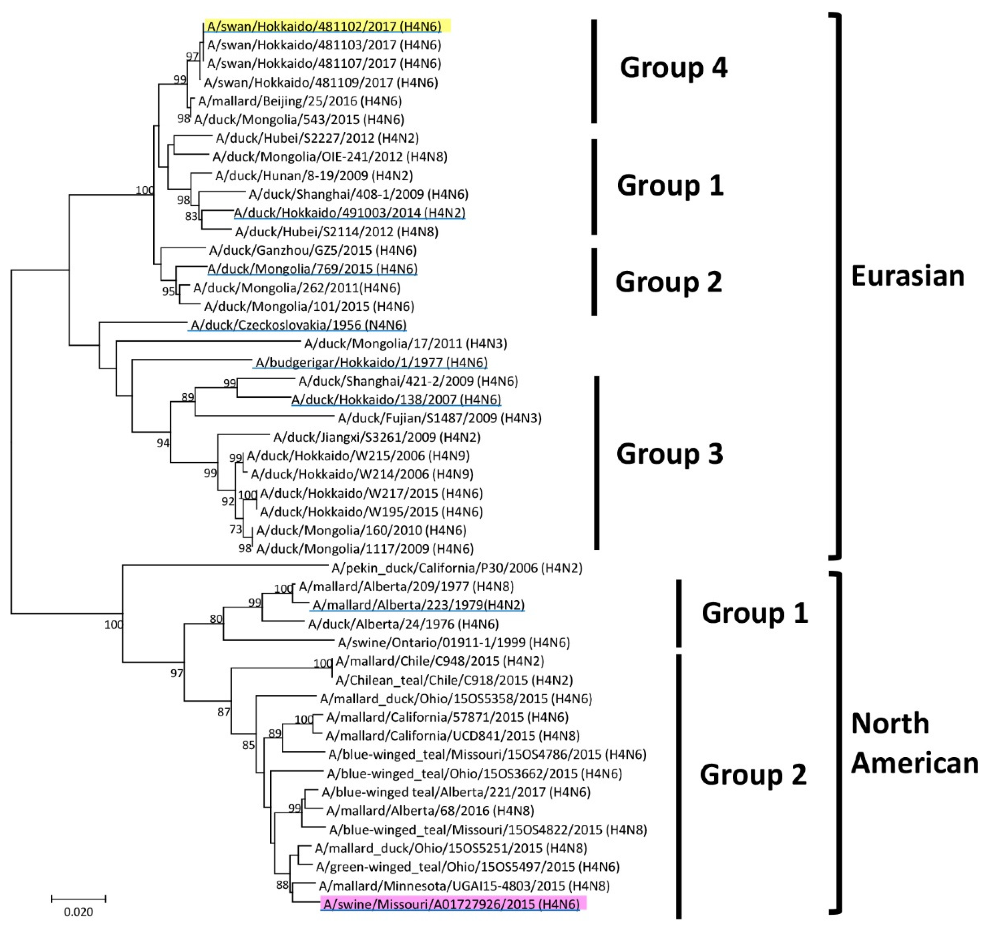 Vaccines 08 00768 g001