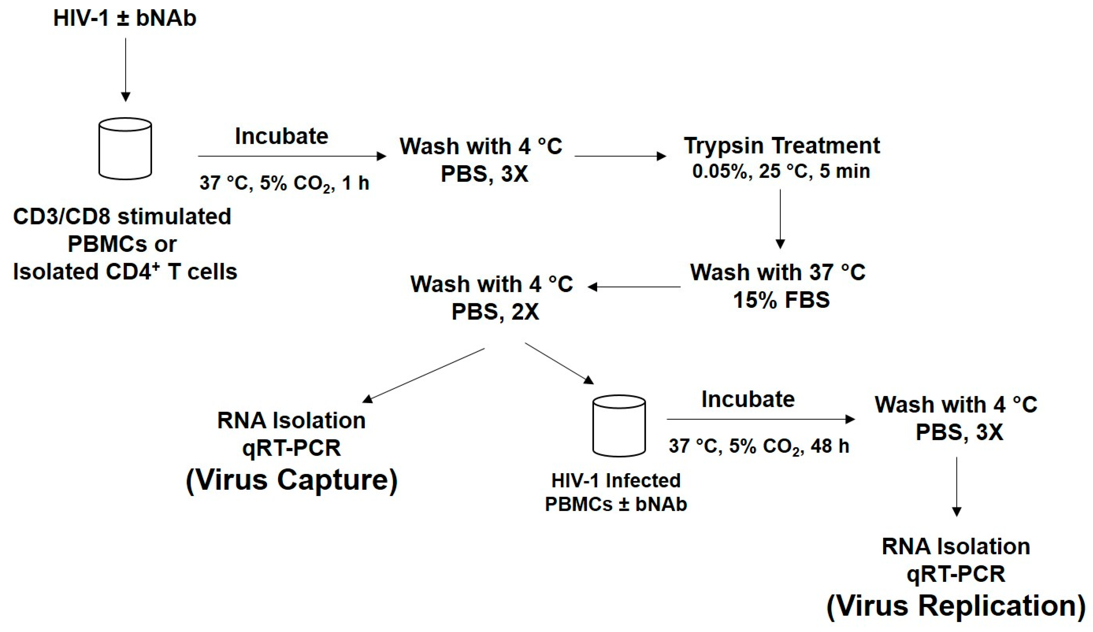 Vaccines 08 00782 g001 Vaccines 08 00782 g001