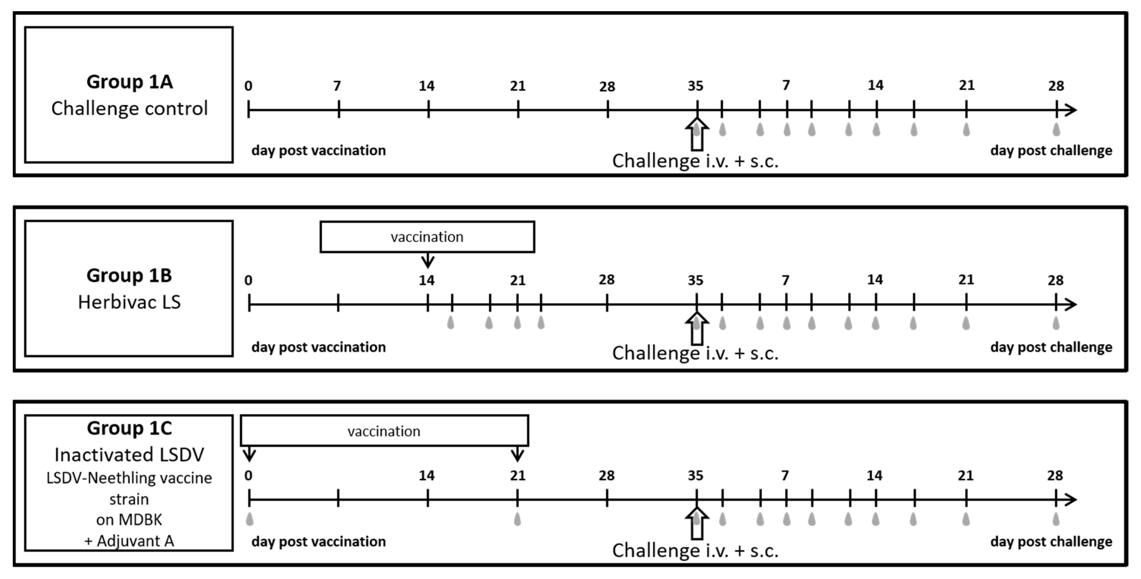Vaccines 09 00004 g001 Vaccines 09 00004 g001