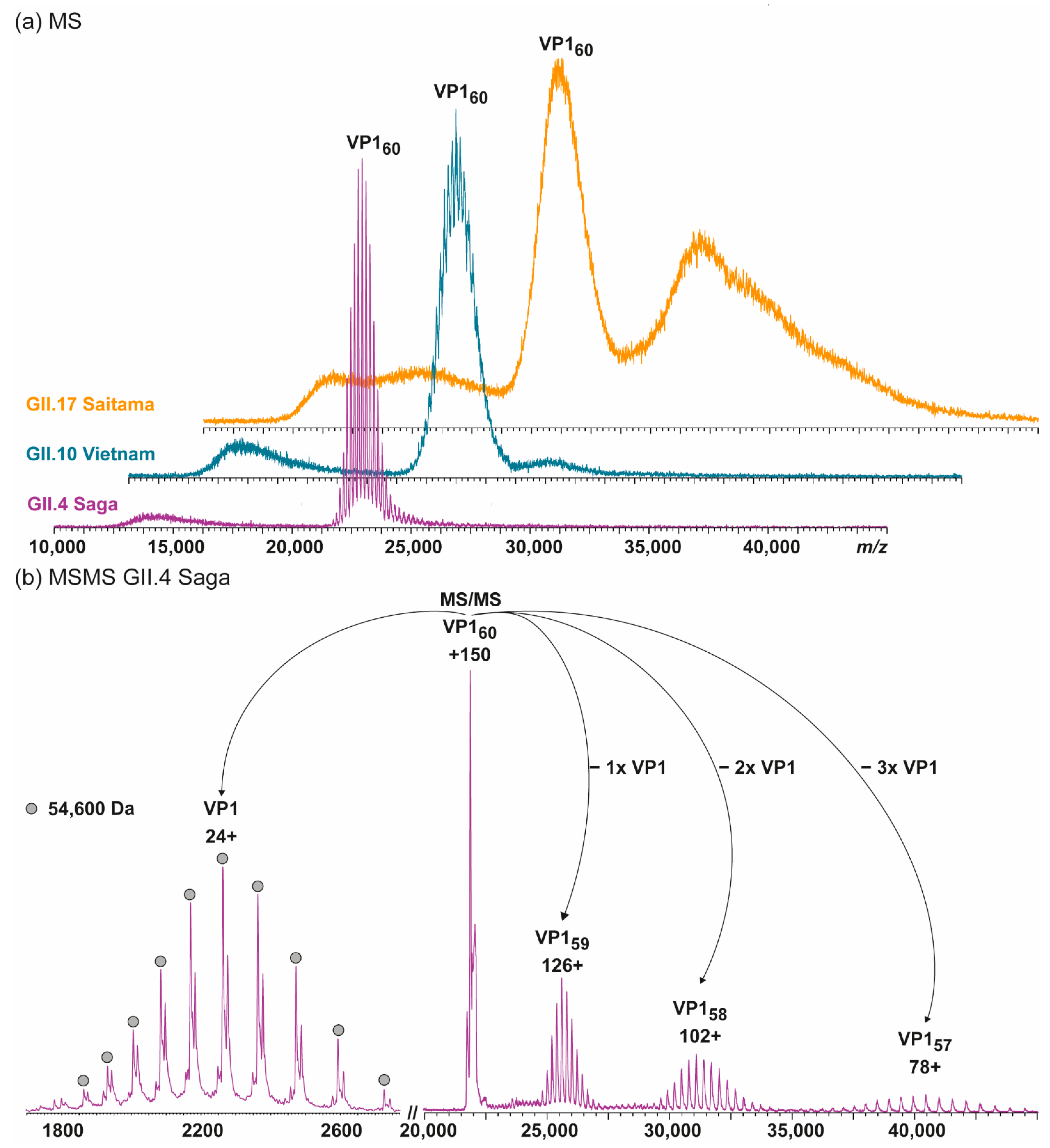 Vaccines 09 00008 g001 Vaccines 09 00008 g001