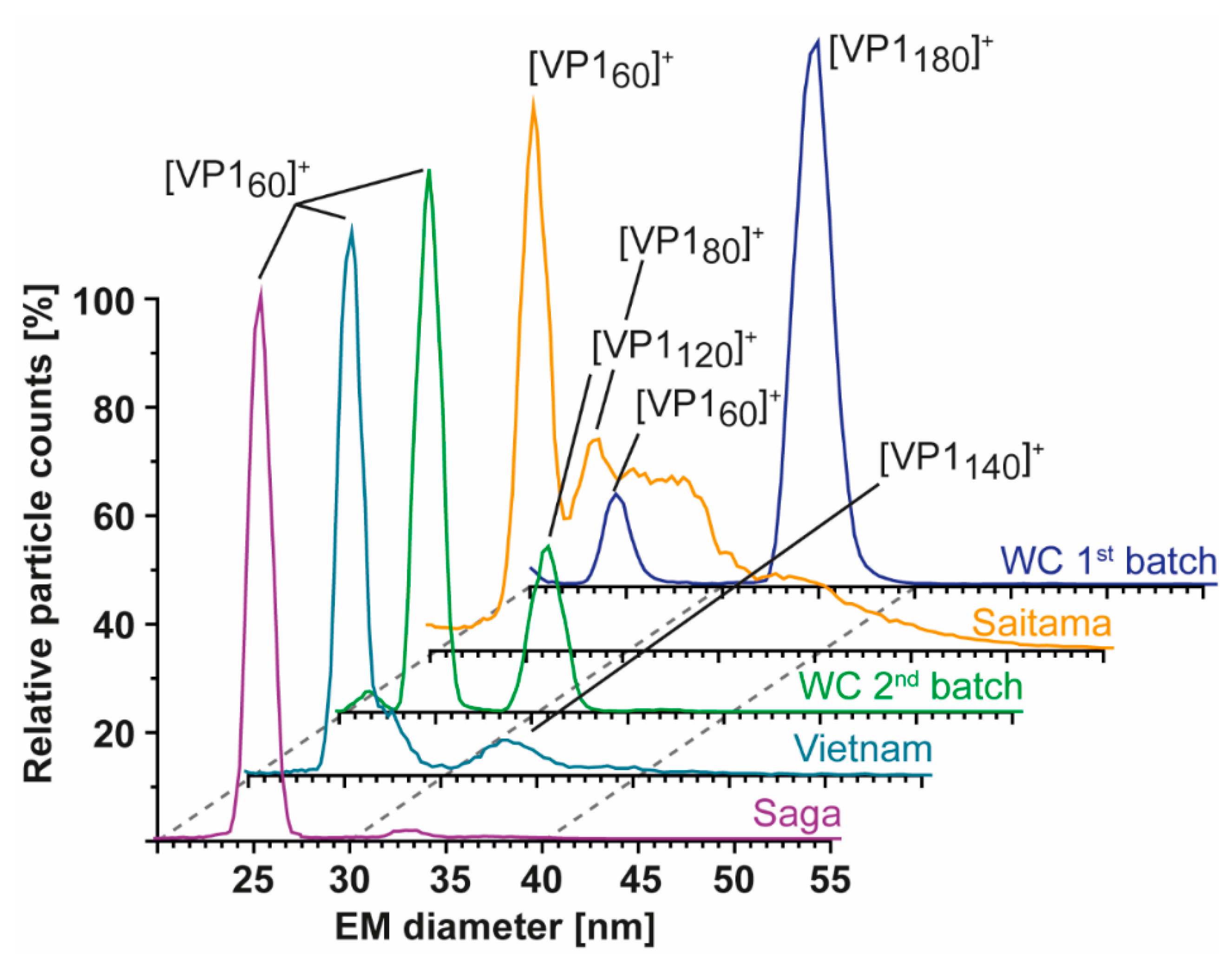 Vaccines 09 00008 g004 Vaccines 09 00008 g004