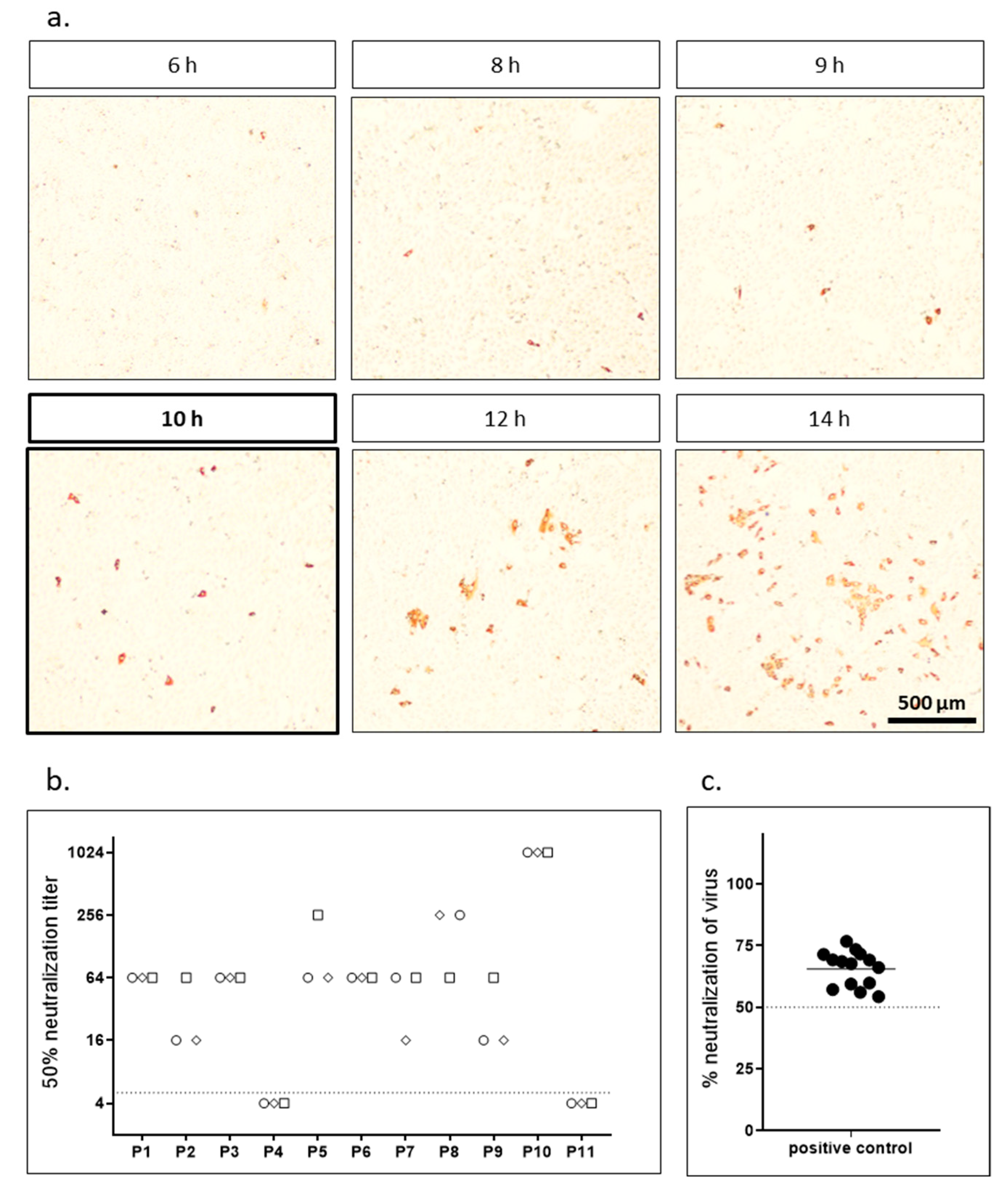 Vaccines 09 00013 g001