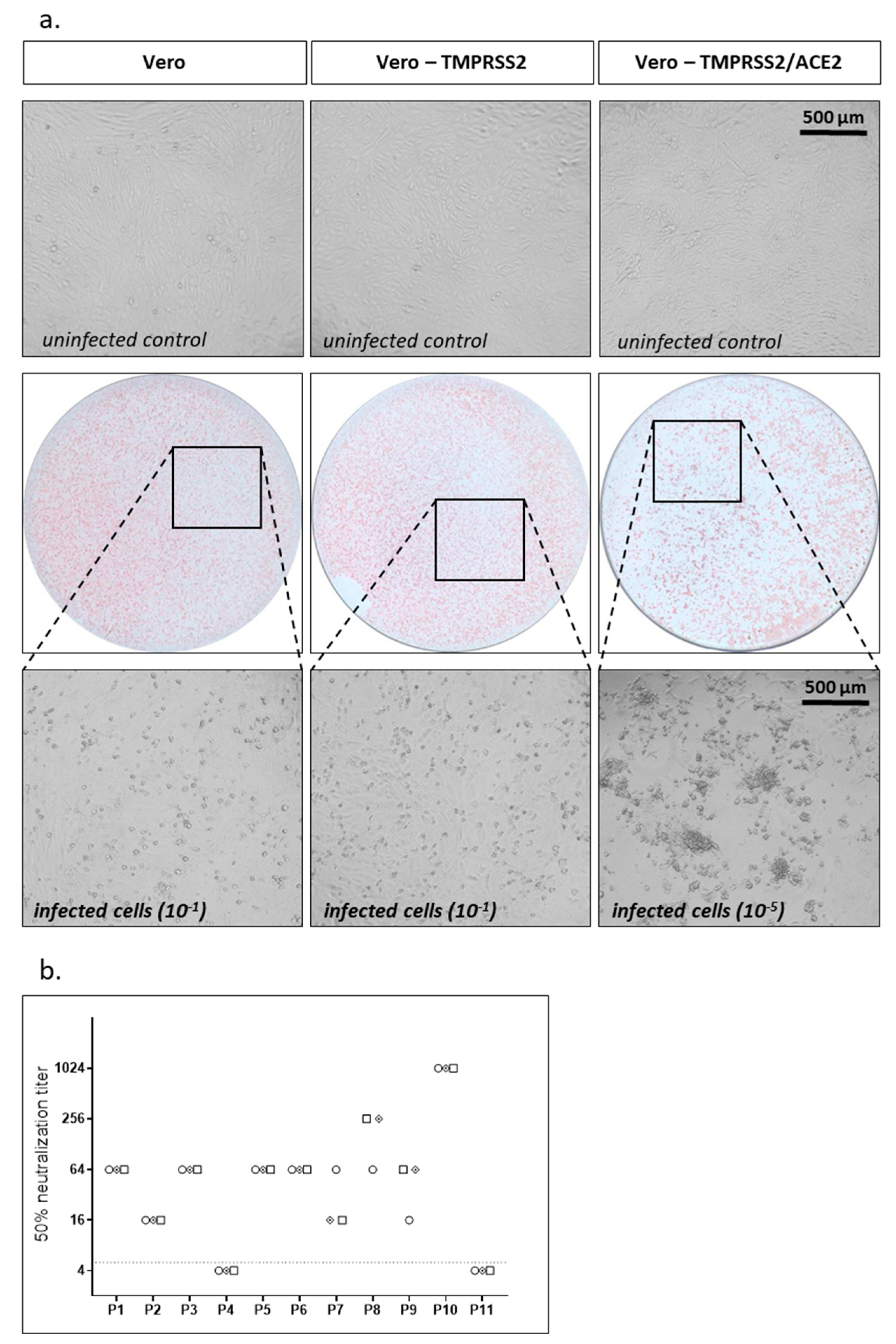 Vaccines 09 00013 g002