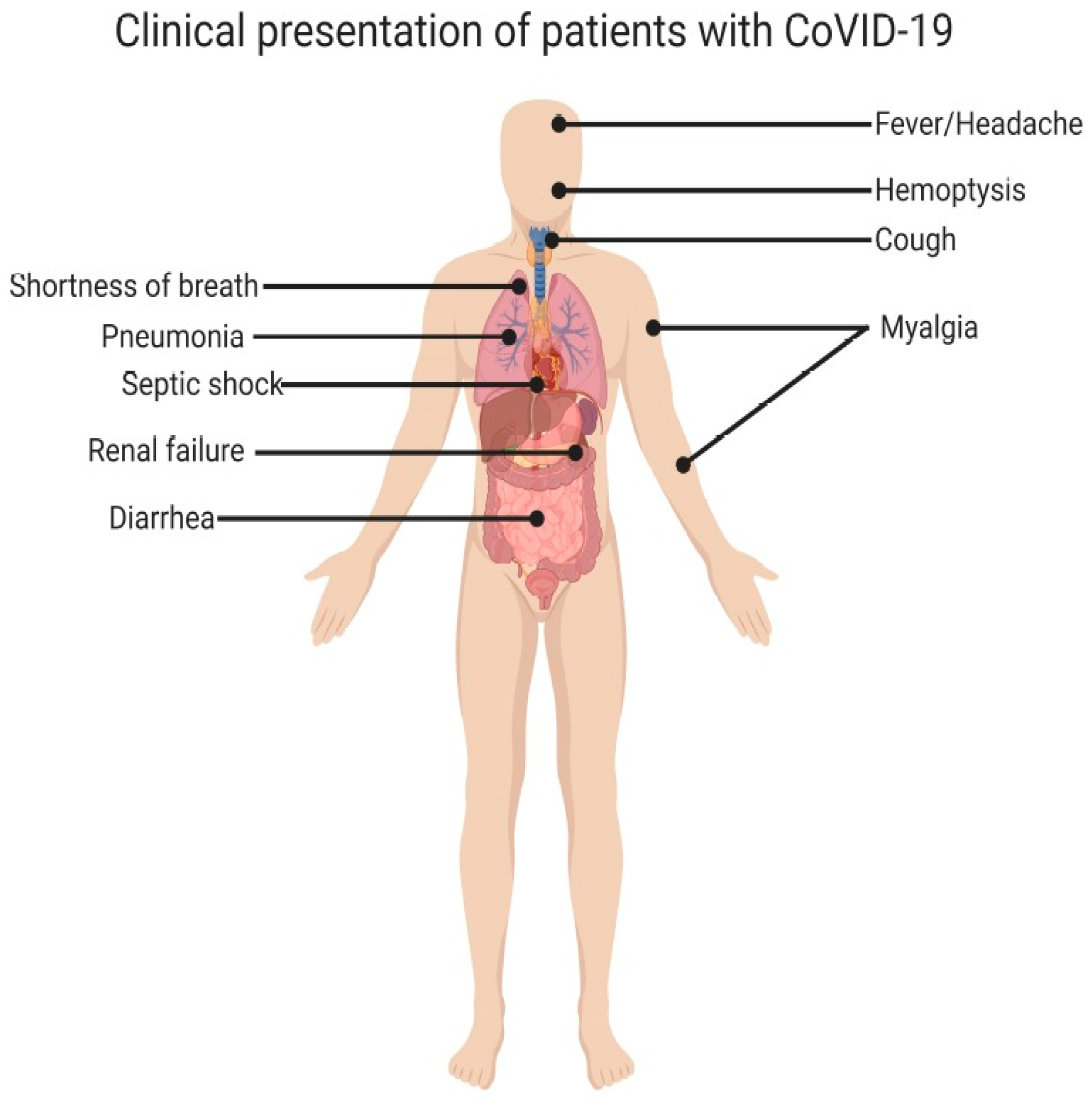 Vaccines 09 00015 g002 Vaccines 09 00015 g002
