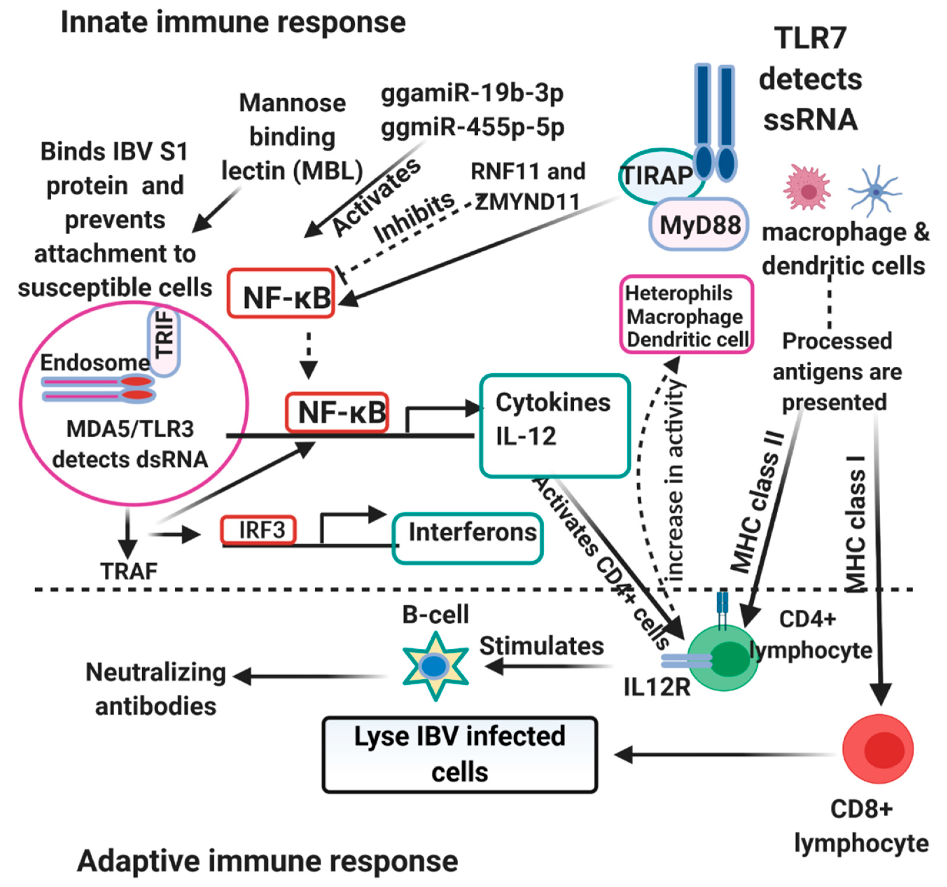 Vaccines 09 00020 g001 Vaccines 09 00020 g001