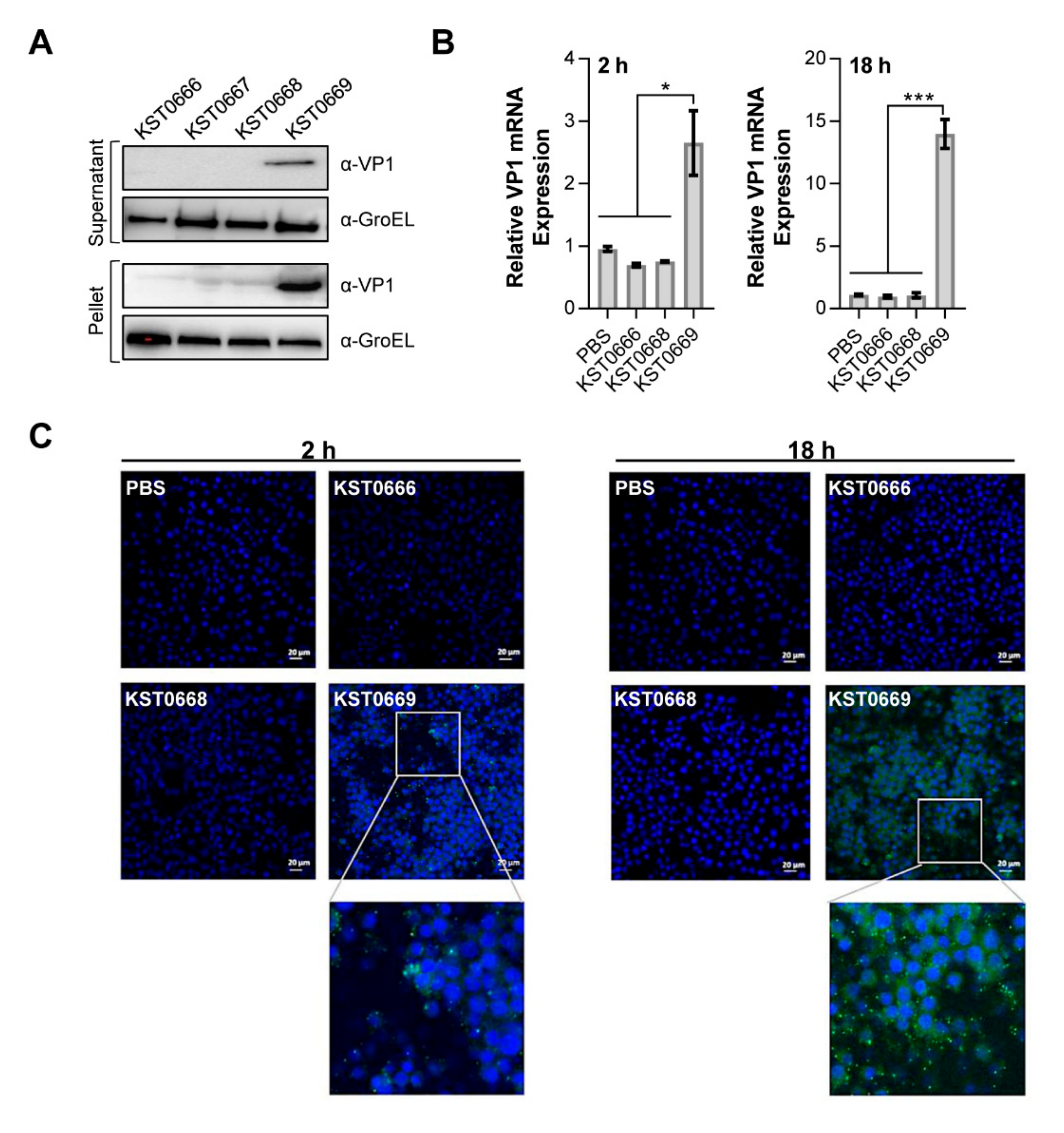 Vaccines 09 00022 g003