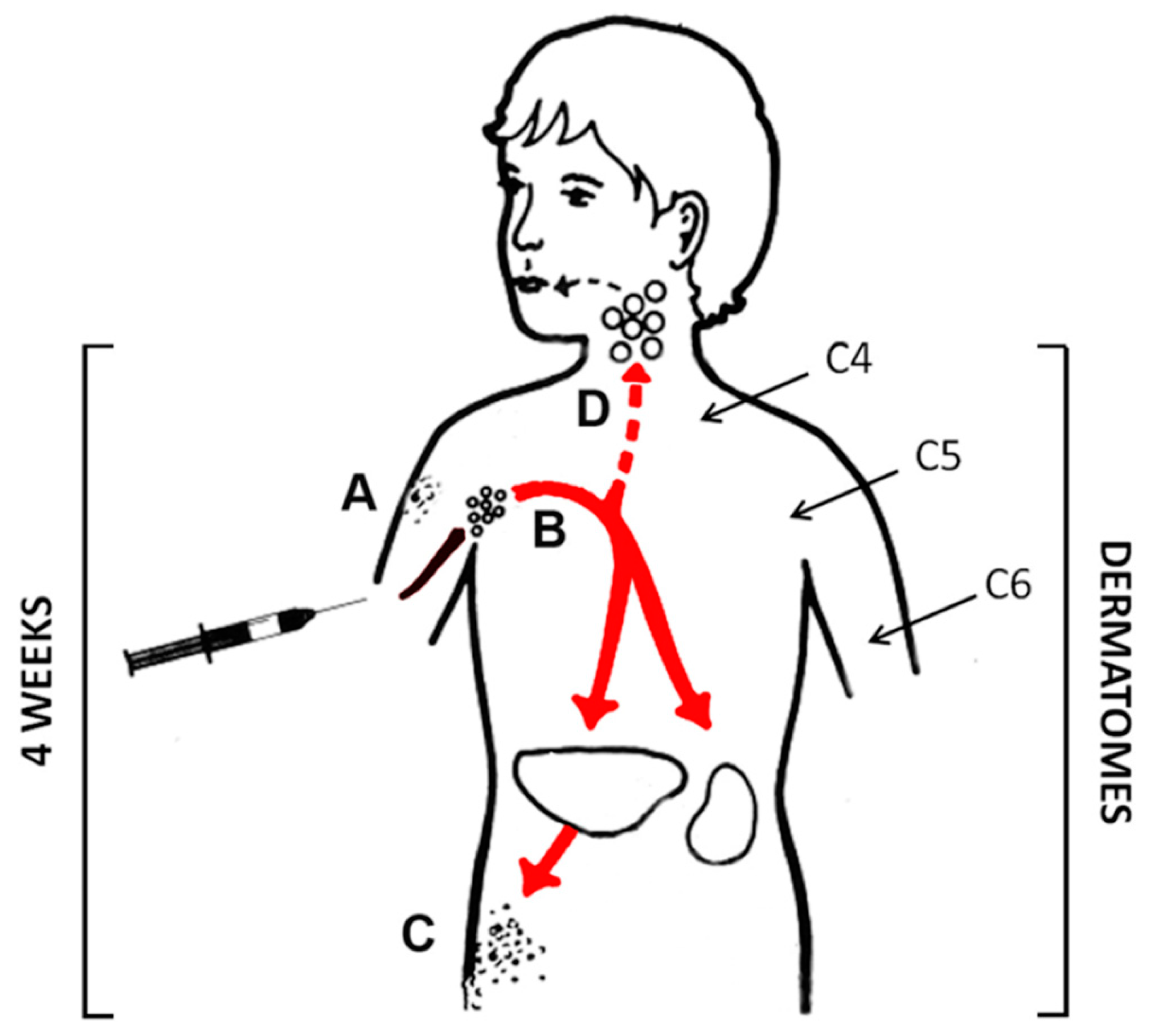 Vaccines 09 00023 g002 Vaccines 09 00023 g002