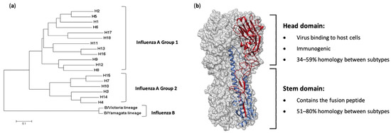 Vaccines 09 00026 g001 550