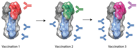 Vaccines 09 00026 g002 550