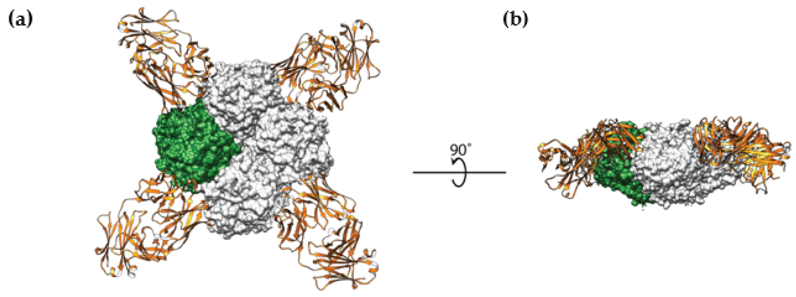 Vaccines 09 00026 g003 Vaccines 09 00026 g003