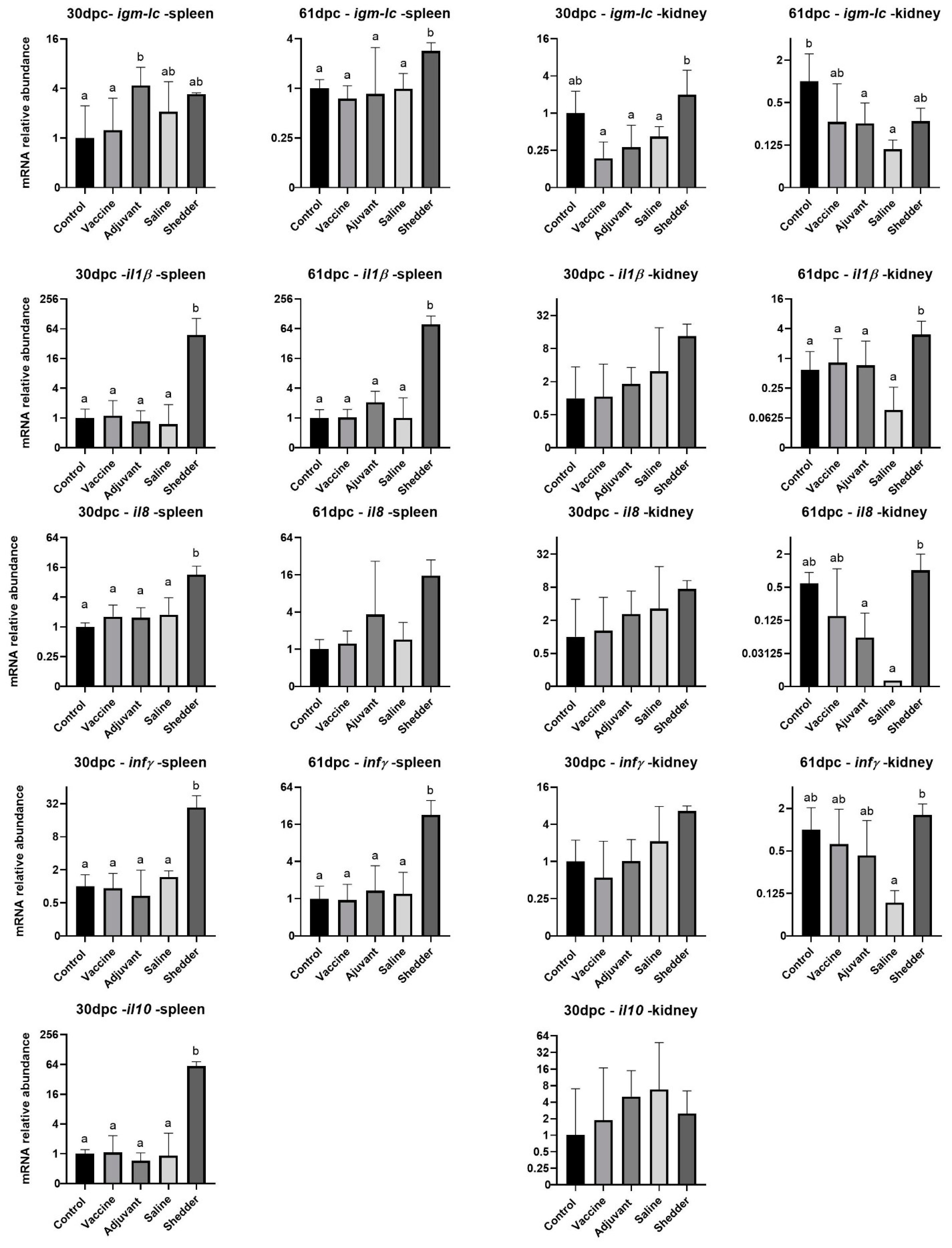 Vaccines 09 00034 g003 Vaccines 09 00034 g003
