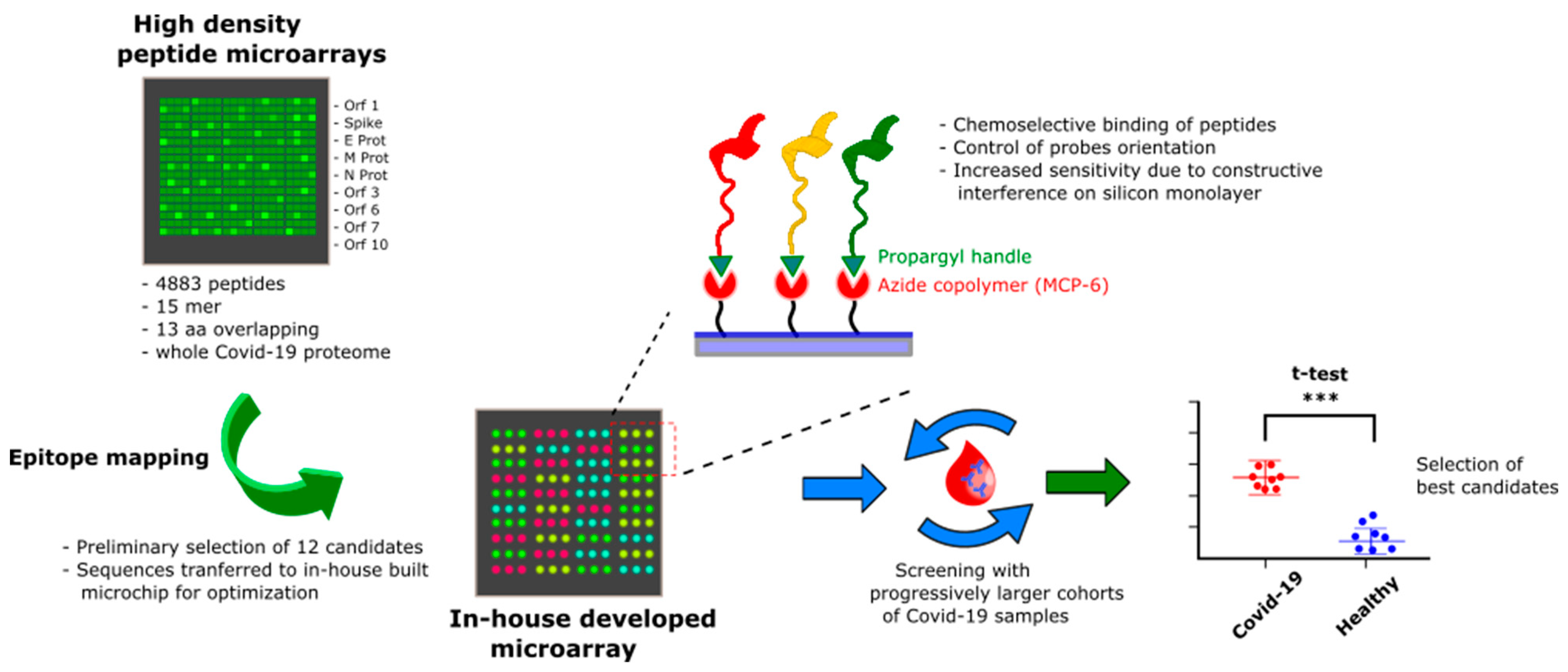 Vaccines | Free Full-Text | SARS-CoV-2 Epitope Mapping on Microarrays  Highlights Strong Immune-Response to N Protein Region