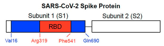 Spike protein shedding