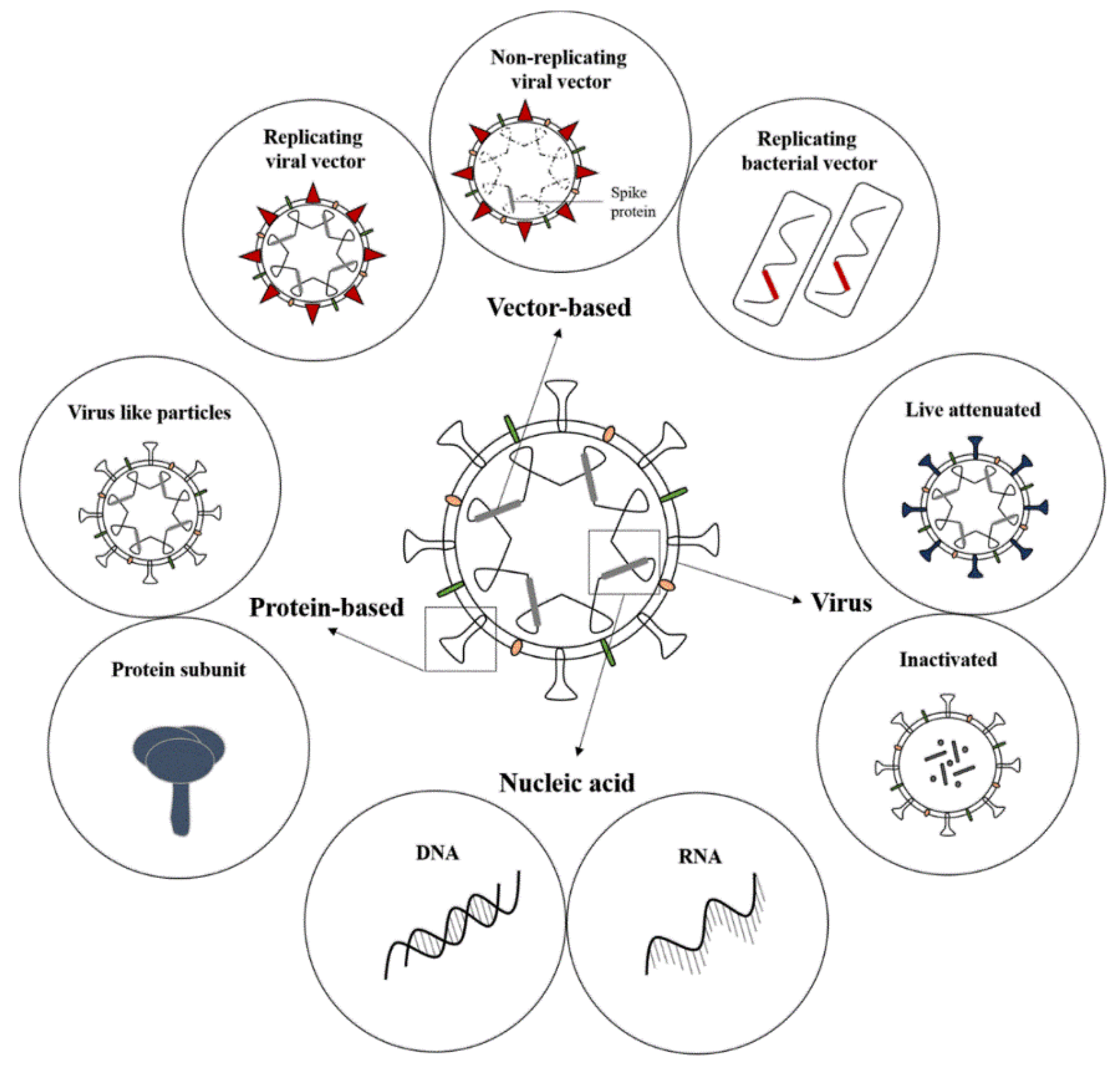 Covid 19 vaccine types