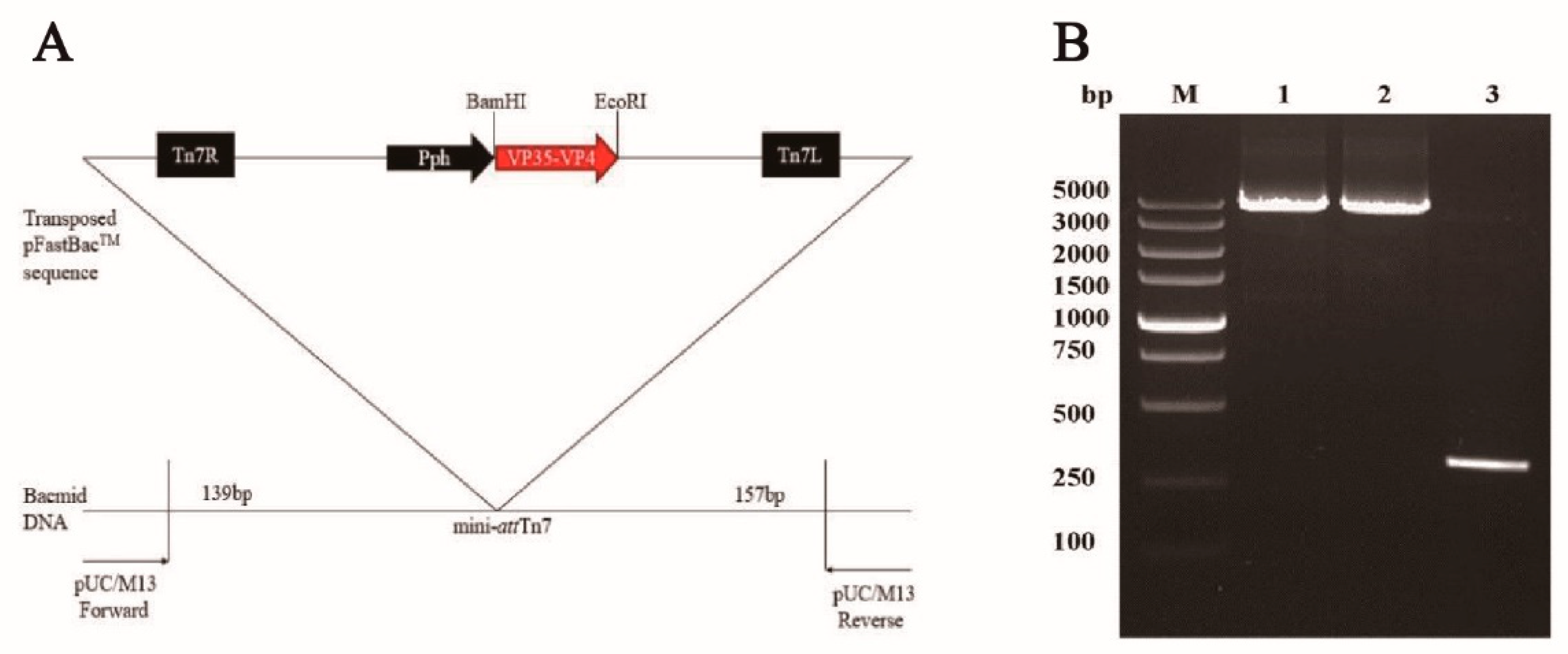 Vaccines 09 00041 g001