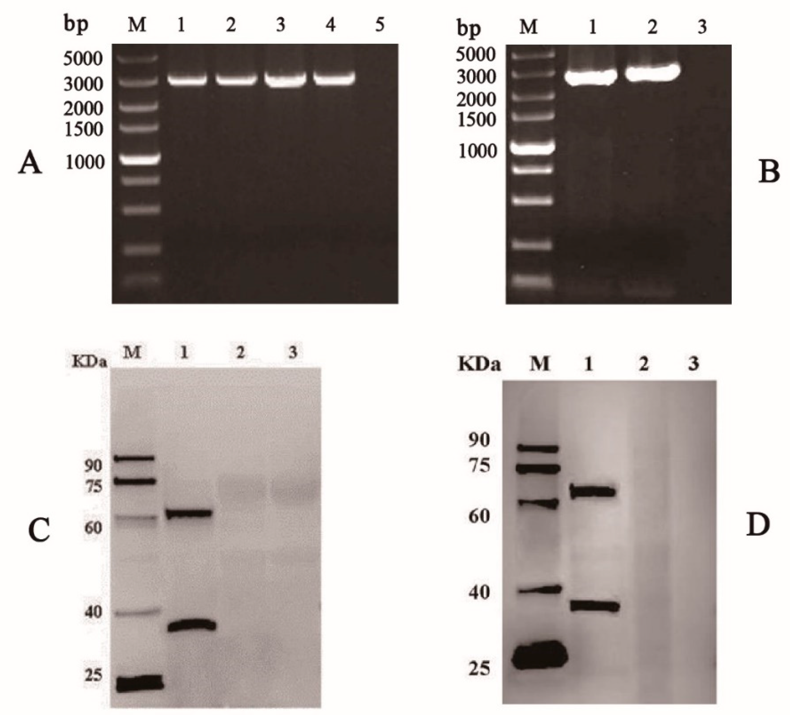 Vaccines 09 00041 g003