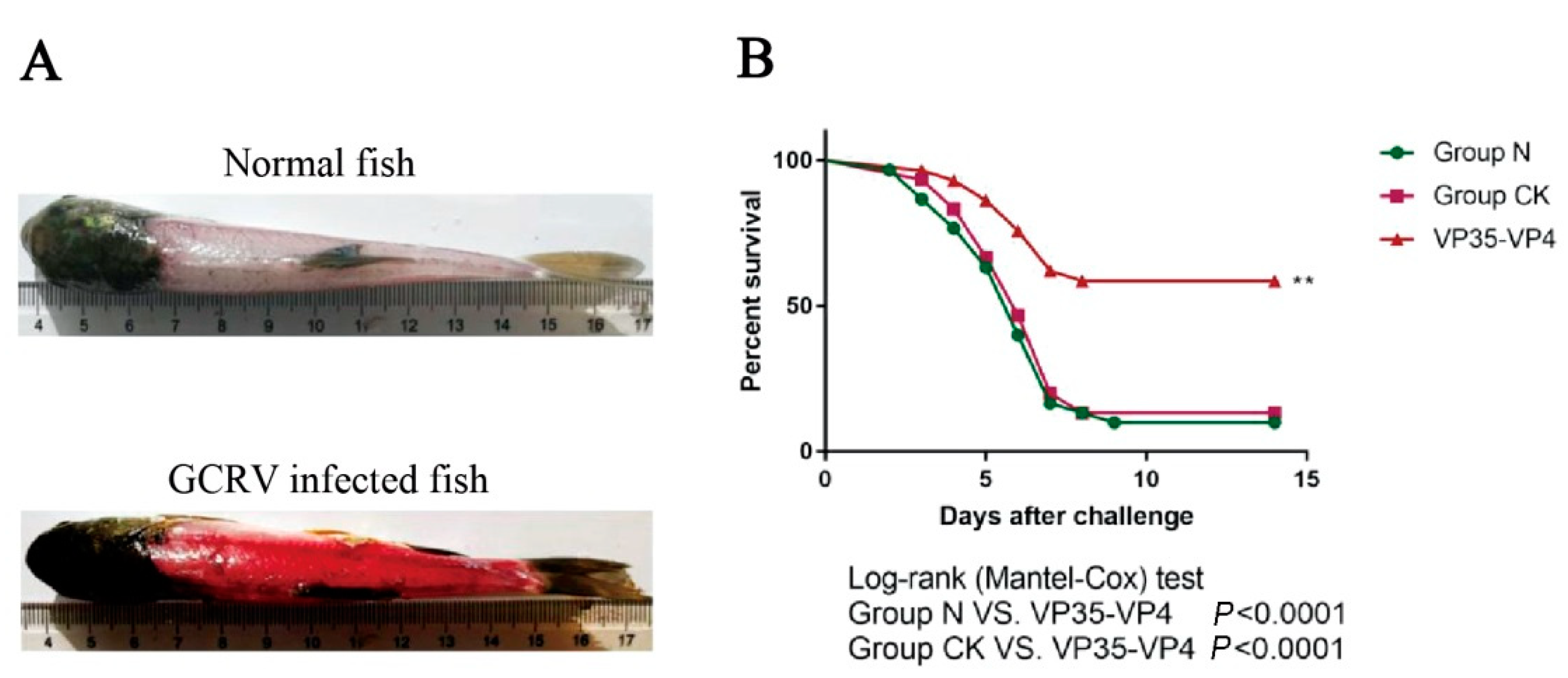 Vaccines 09 00041 g008