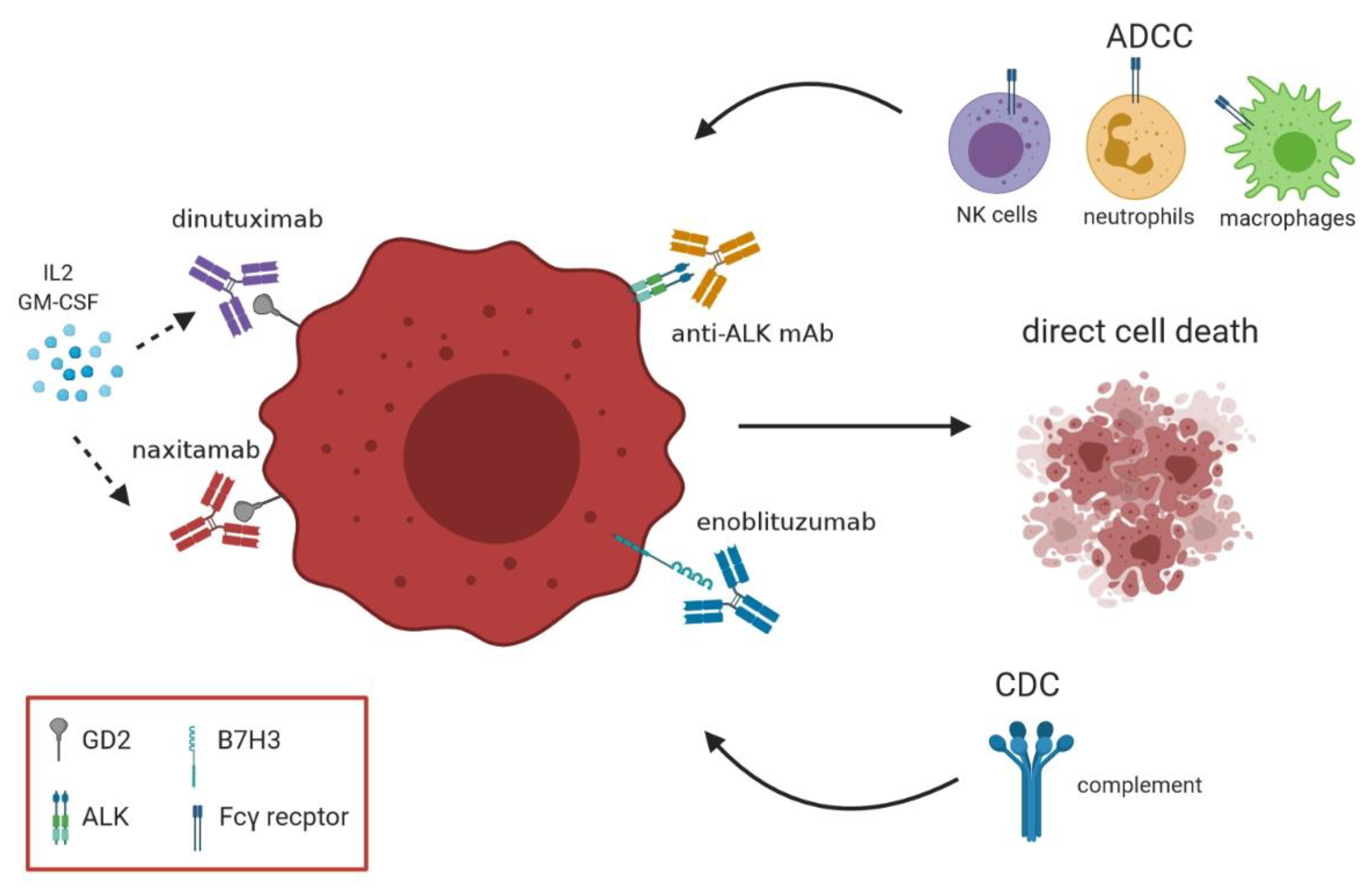 Vaccines 09 00043 g001 Vaccines 09 00043 g001