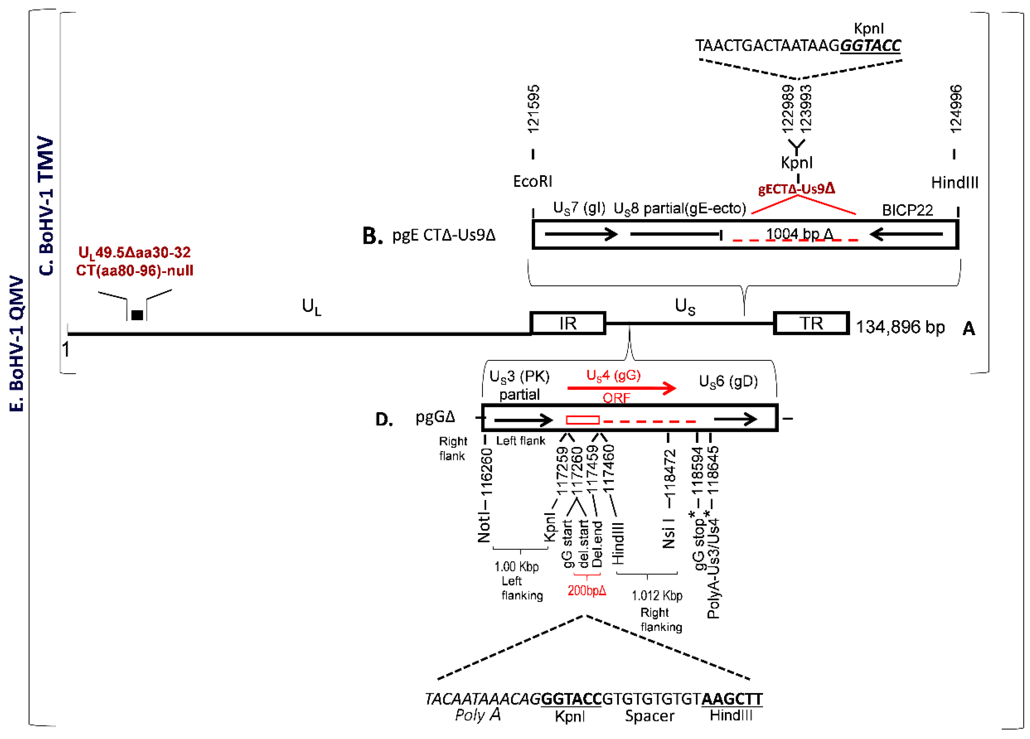 Vaccines 09 00046 g001
