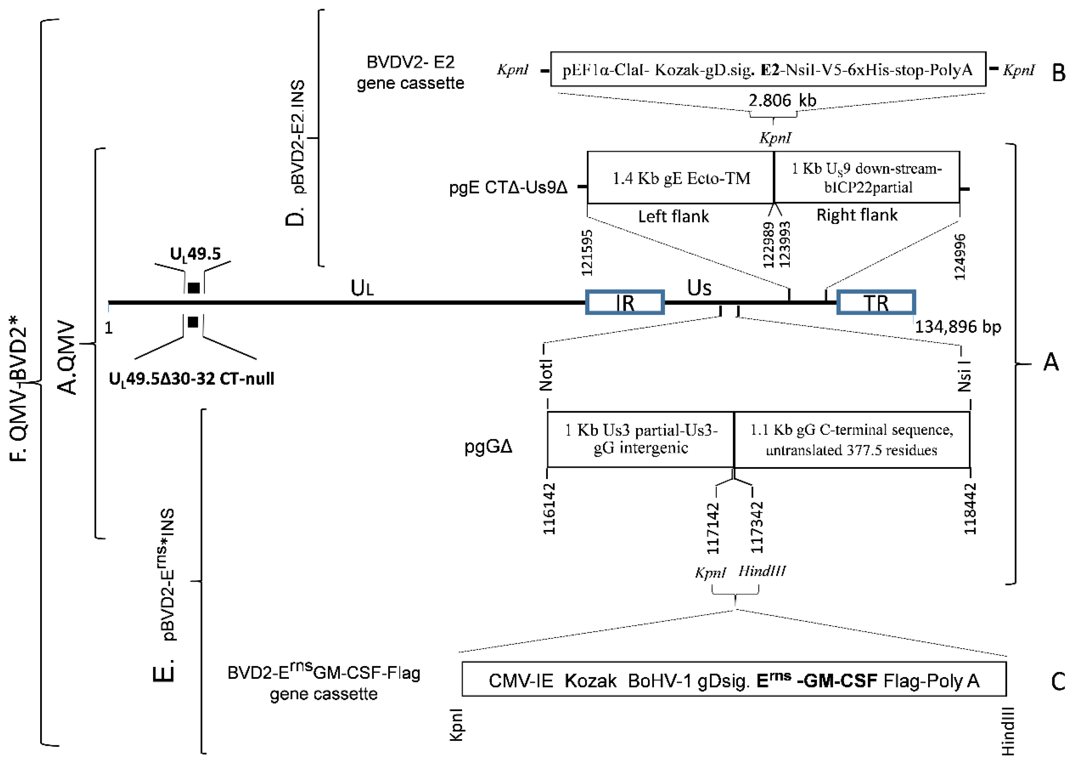 Vaccines 09 00046 g002