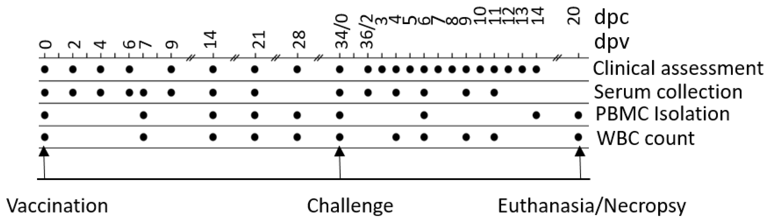 Vaccines 09 00046 g003