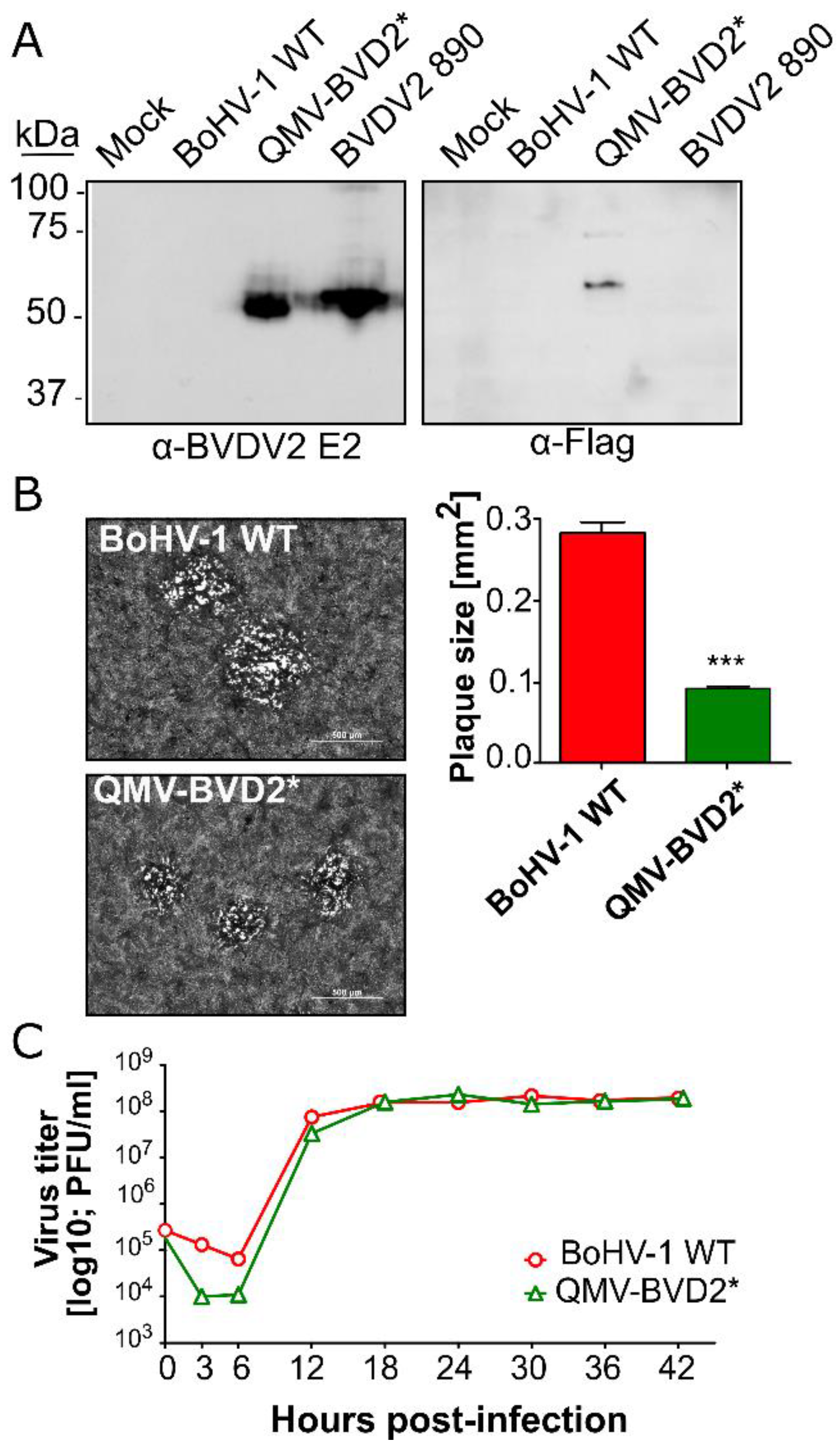 Vaccines 09 00046 g004