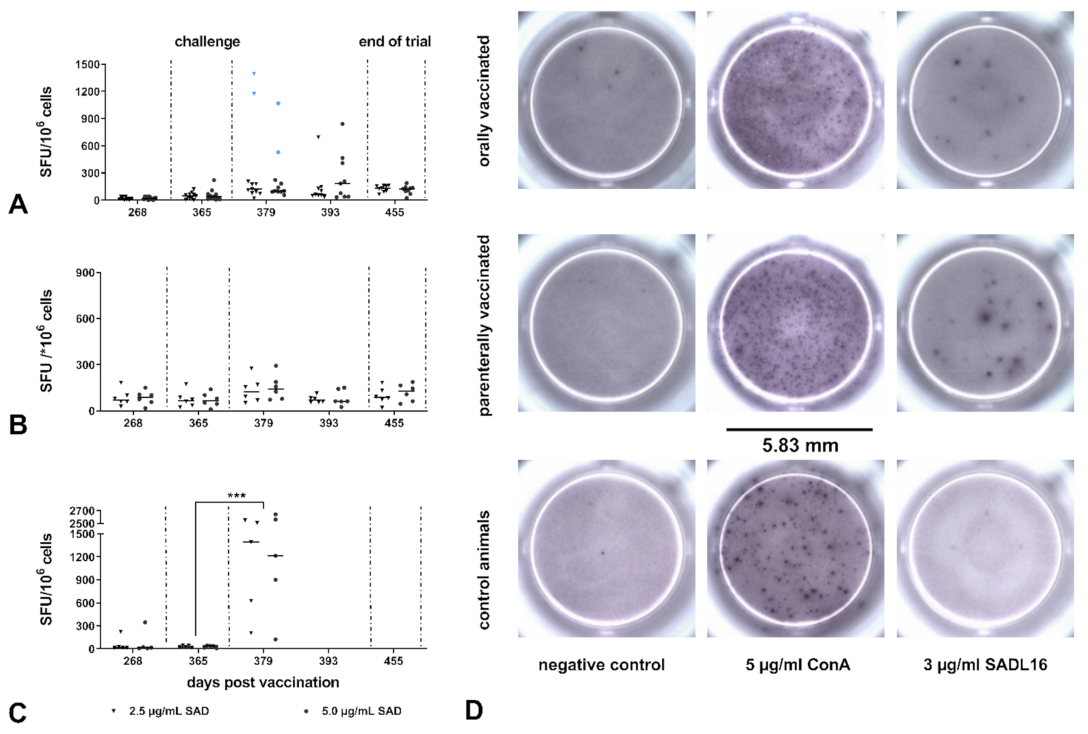 Vaccines 09 00049 g005 Vaccines 09 00049 g005