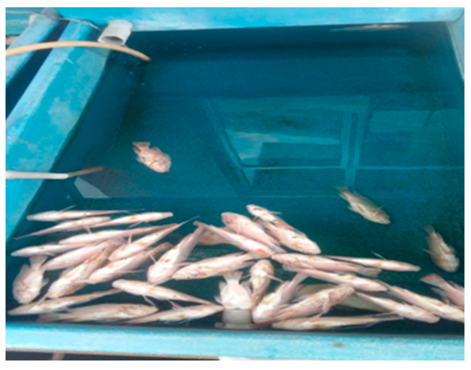 Vaccines 09 00051 g005 Vaccines 09 00051 g005