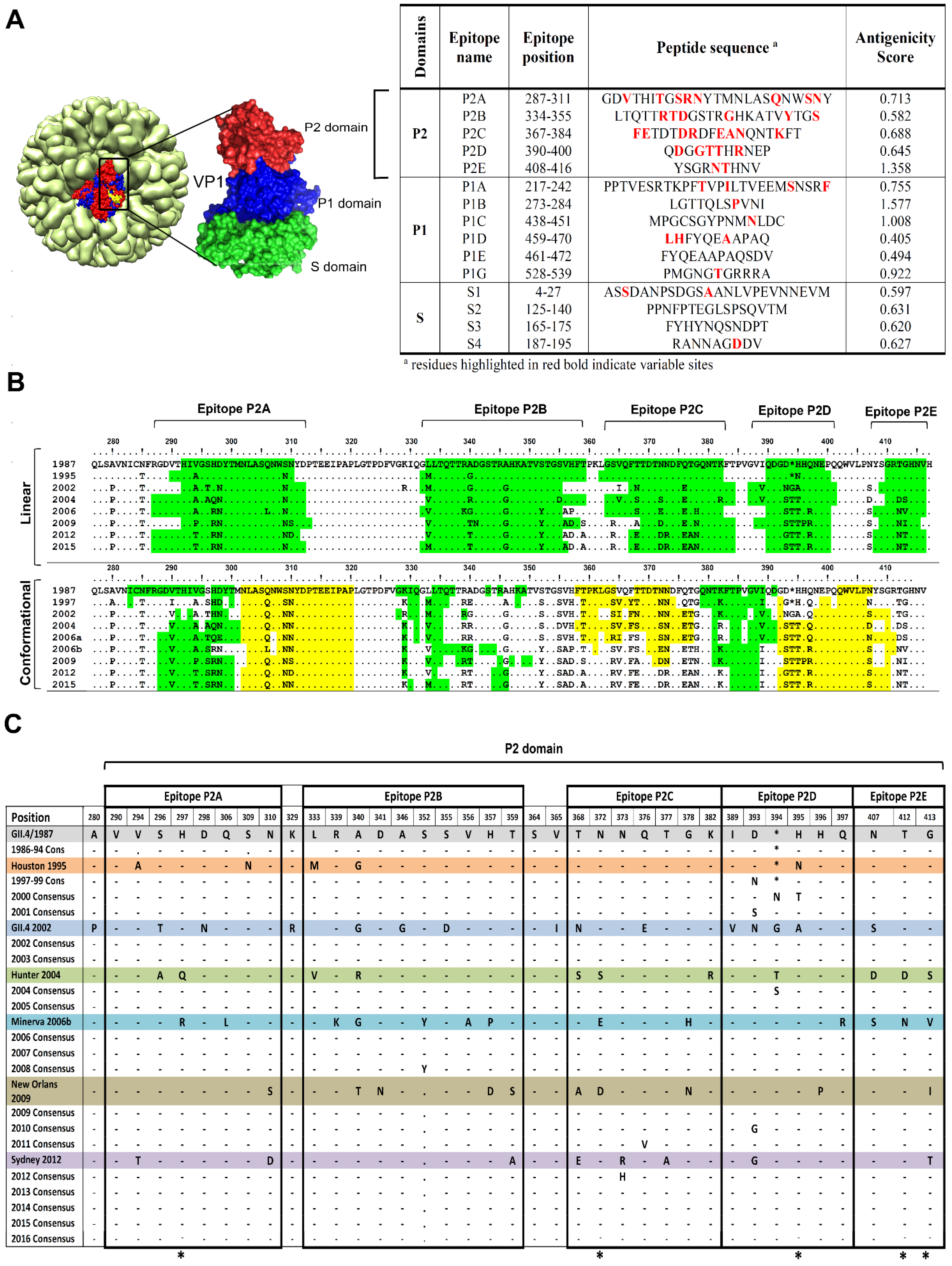 Vaccines Free Full Text Linear B Cell Epitopes In Human Norovirus Gii 4 Capsid Protein Elicit Blockade Antibodies