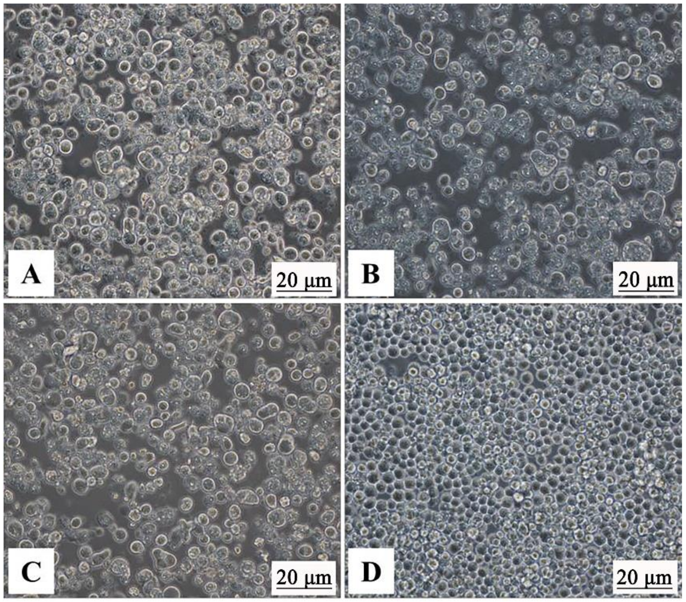 Vaccines 09 00053 g002