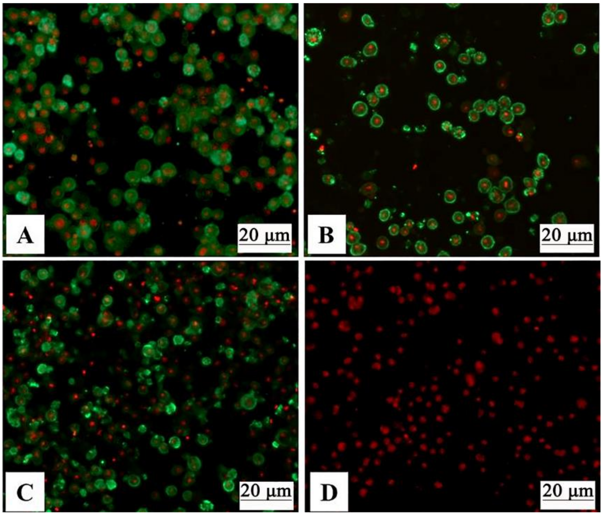 Vaccines 09 00053 g003