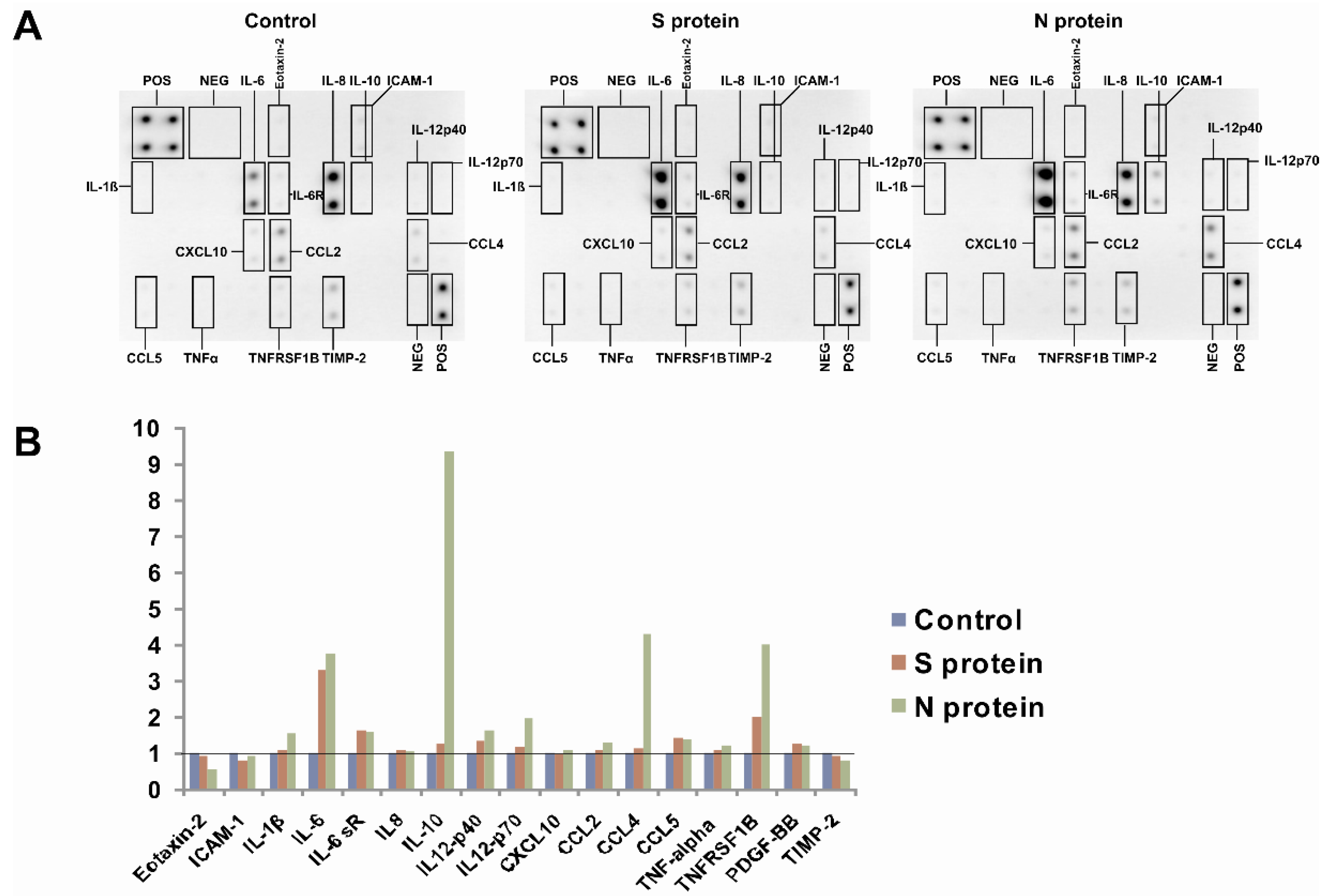 Vaccines 09 00054 g001 Vaccines 09 00054 g001