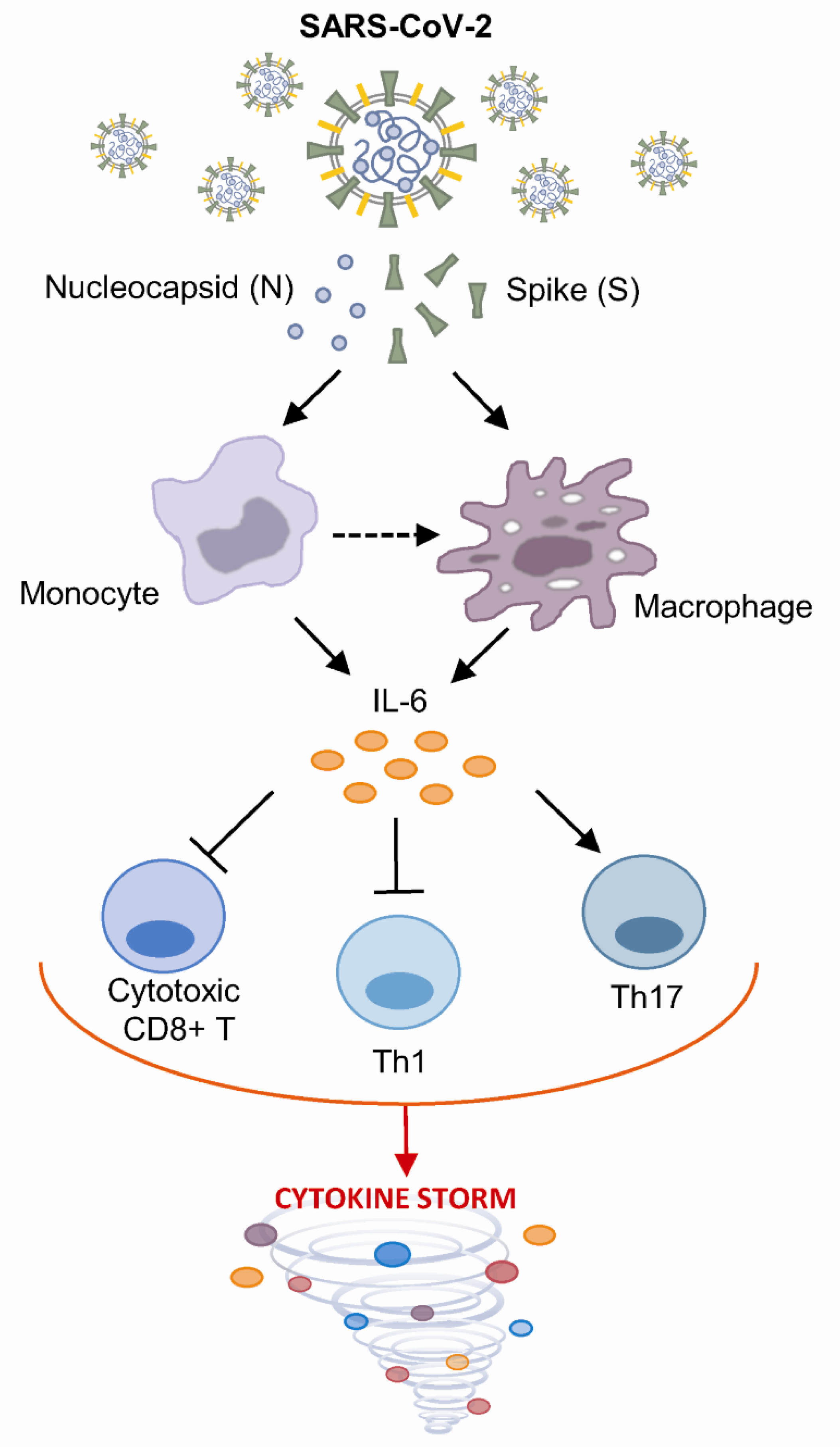 Vaccines 09 00054 g005 Vaccines 09 00054 g005