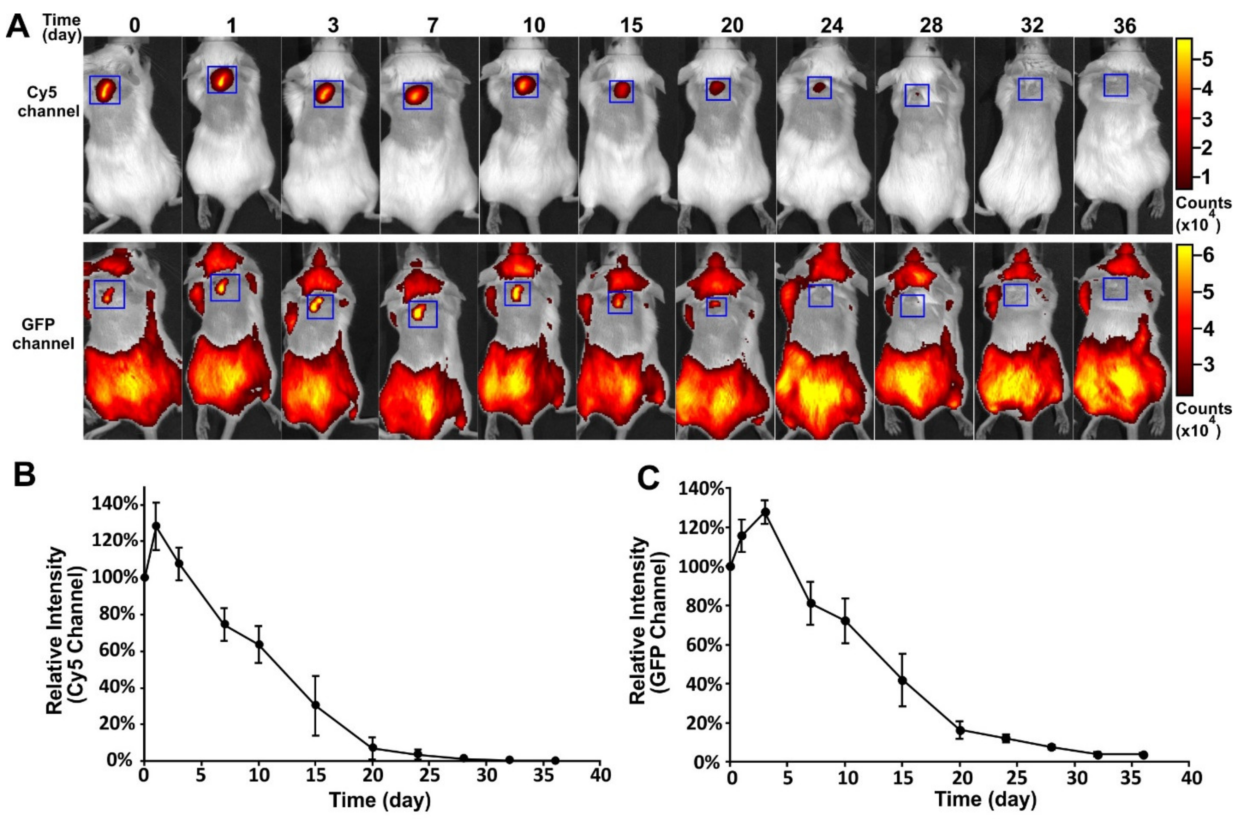 Vaccines 09 00066 g004
