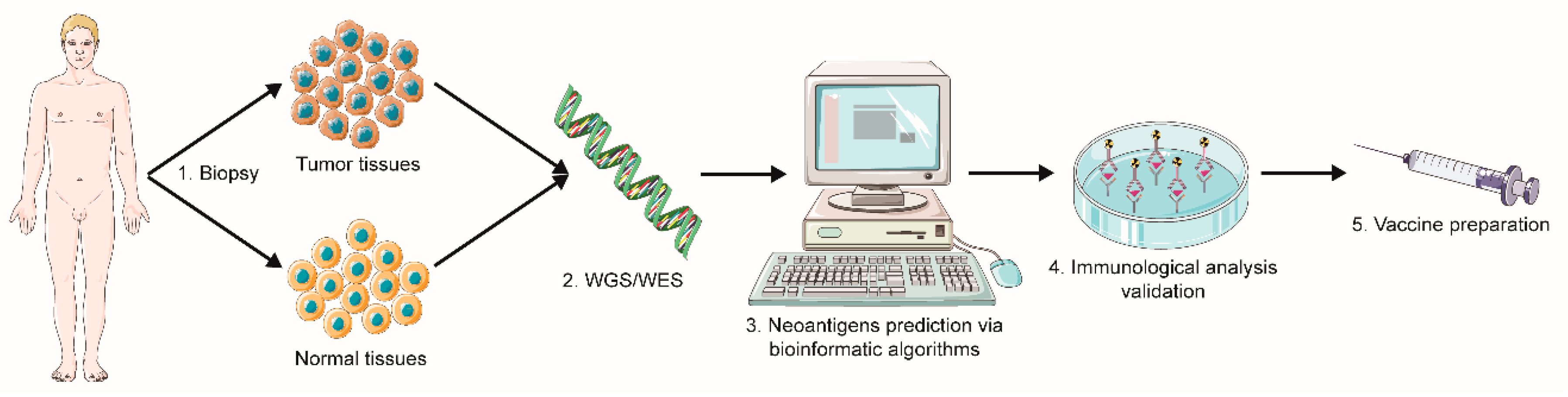 Vaccines 09 00085 g002 Vaccines 09 00085 g002
