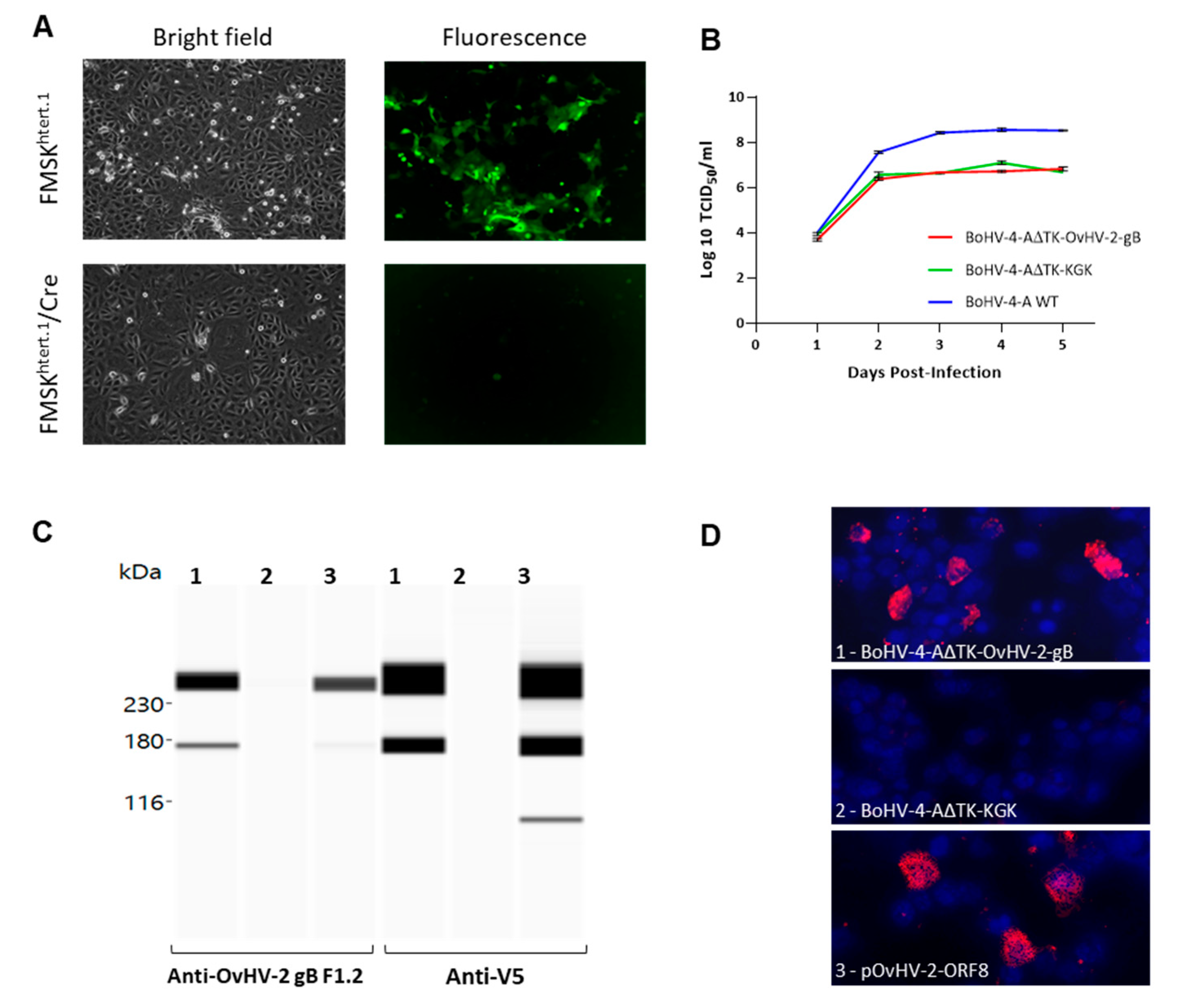 Vaccines 09 00090 g002