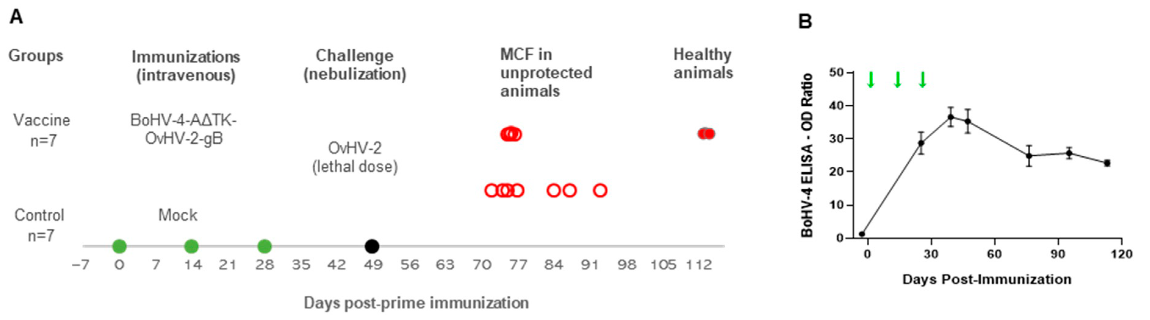 Vaccines 09 00090 g003