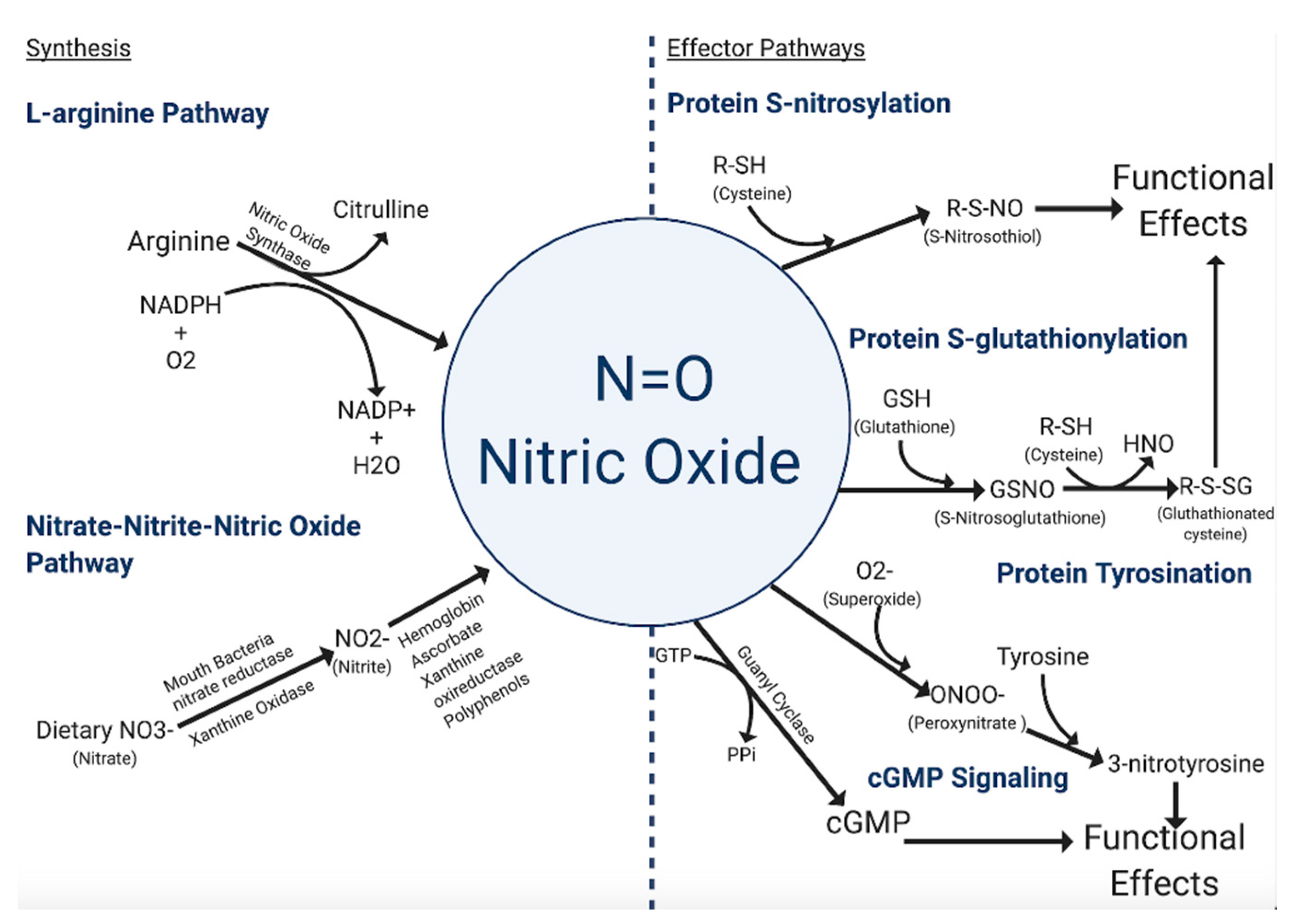 is neuroendocrine cancer fatal