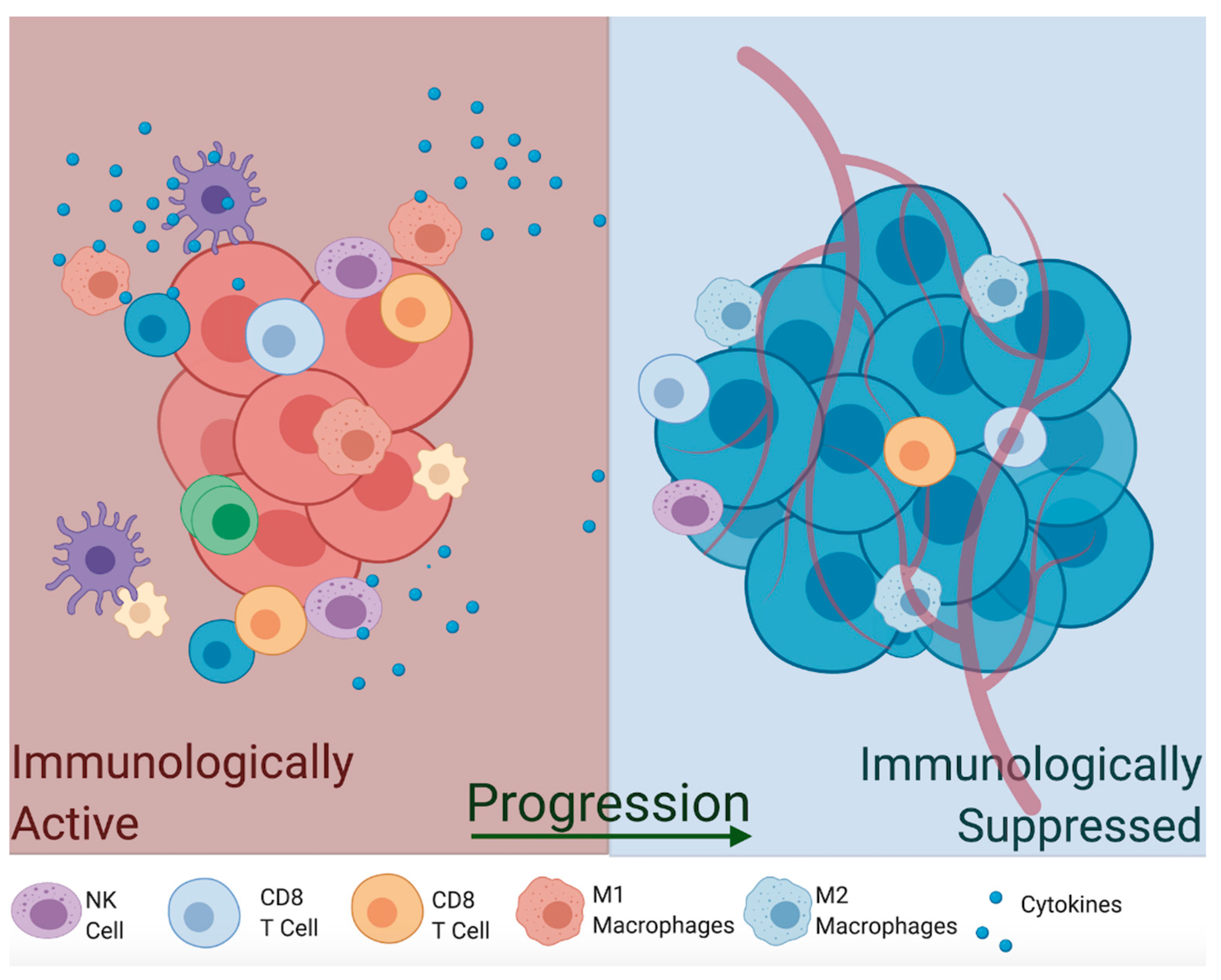 Vaccines 09 00094 g004 Vaccines 09 00094 g004